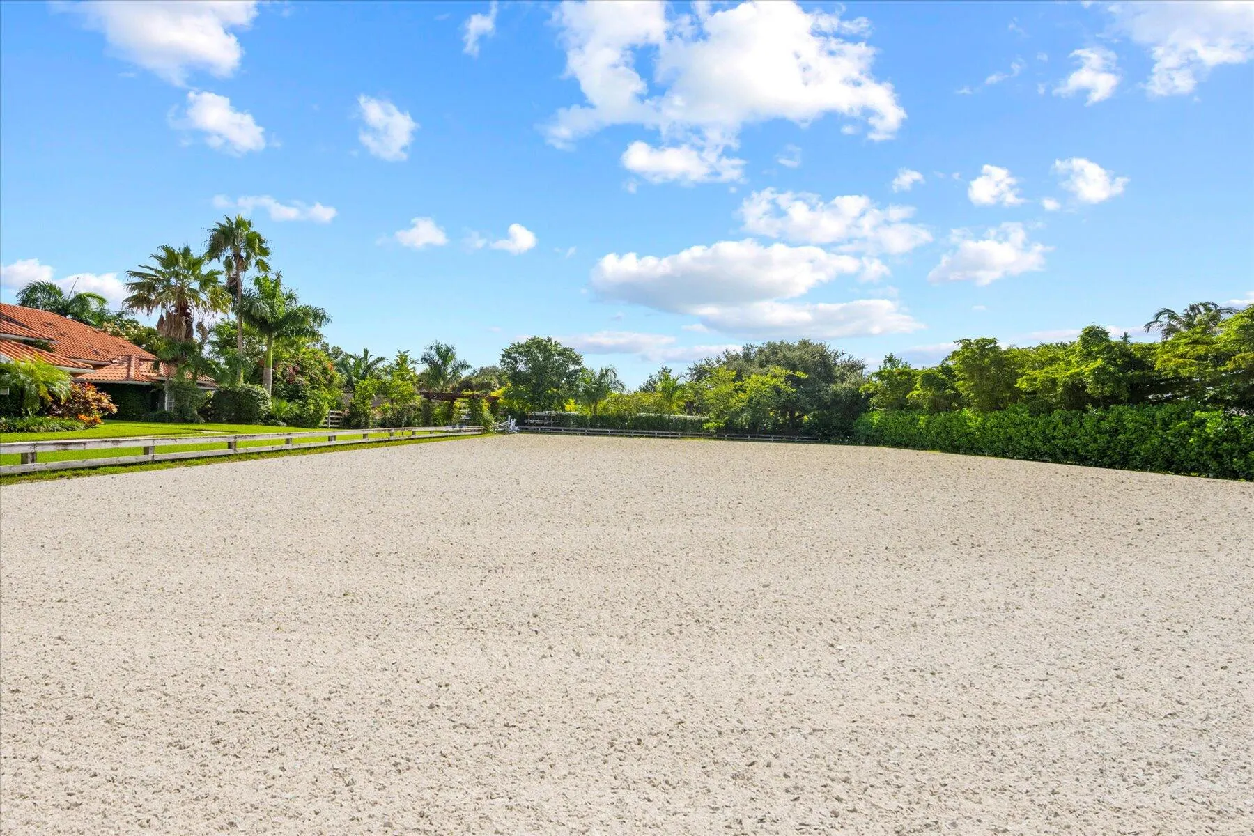 2439 Appaloosa Trail