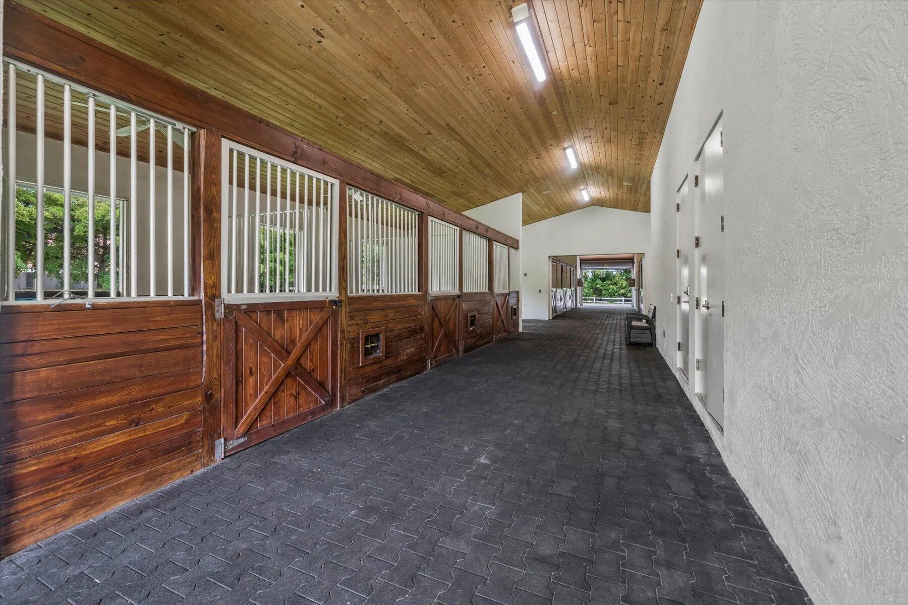 2439 Appaloosa Trail