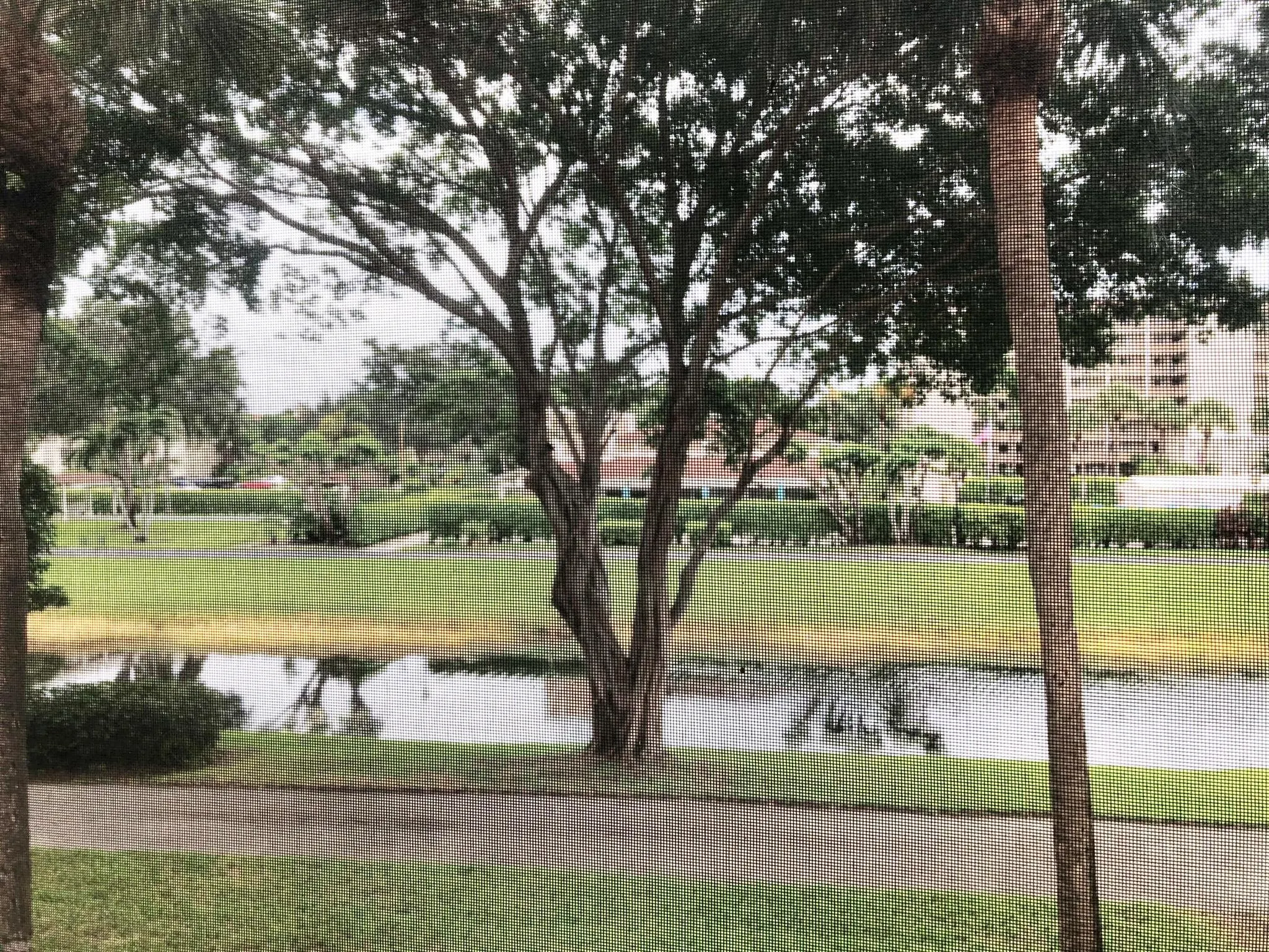 14527 Bonaire Boulevard, #203
