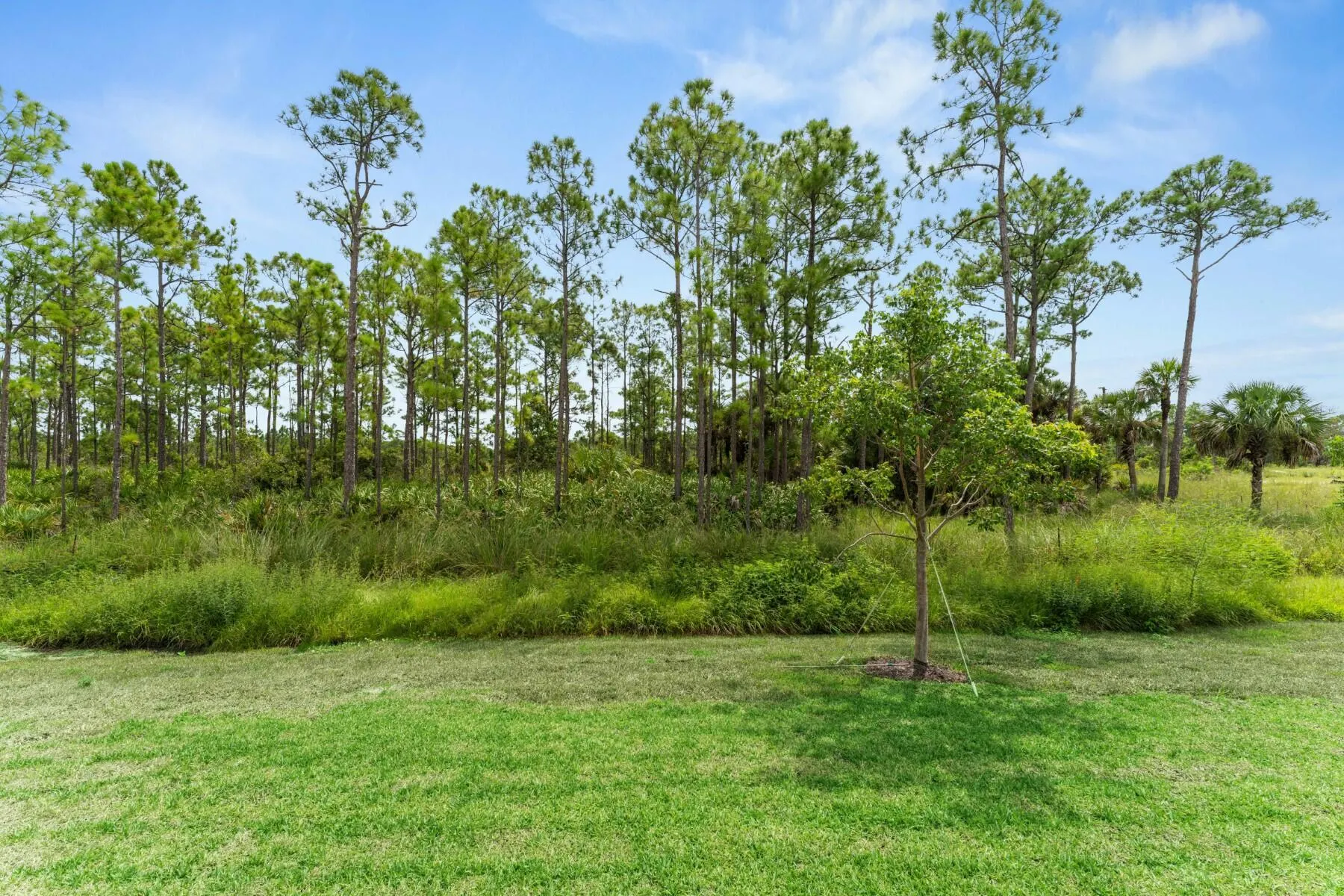 10232 Field Flower Trail, #164