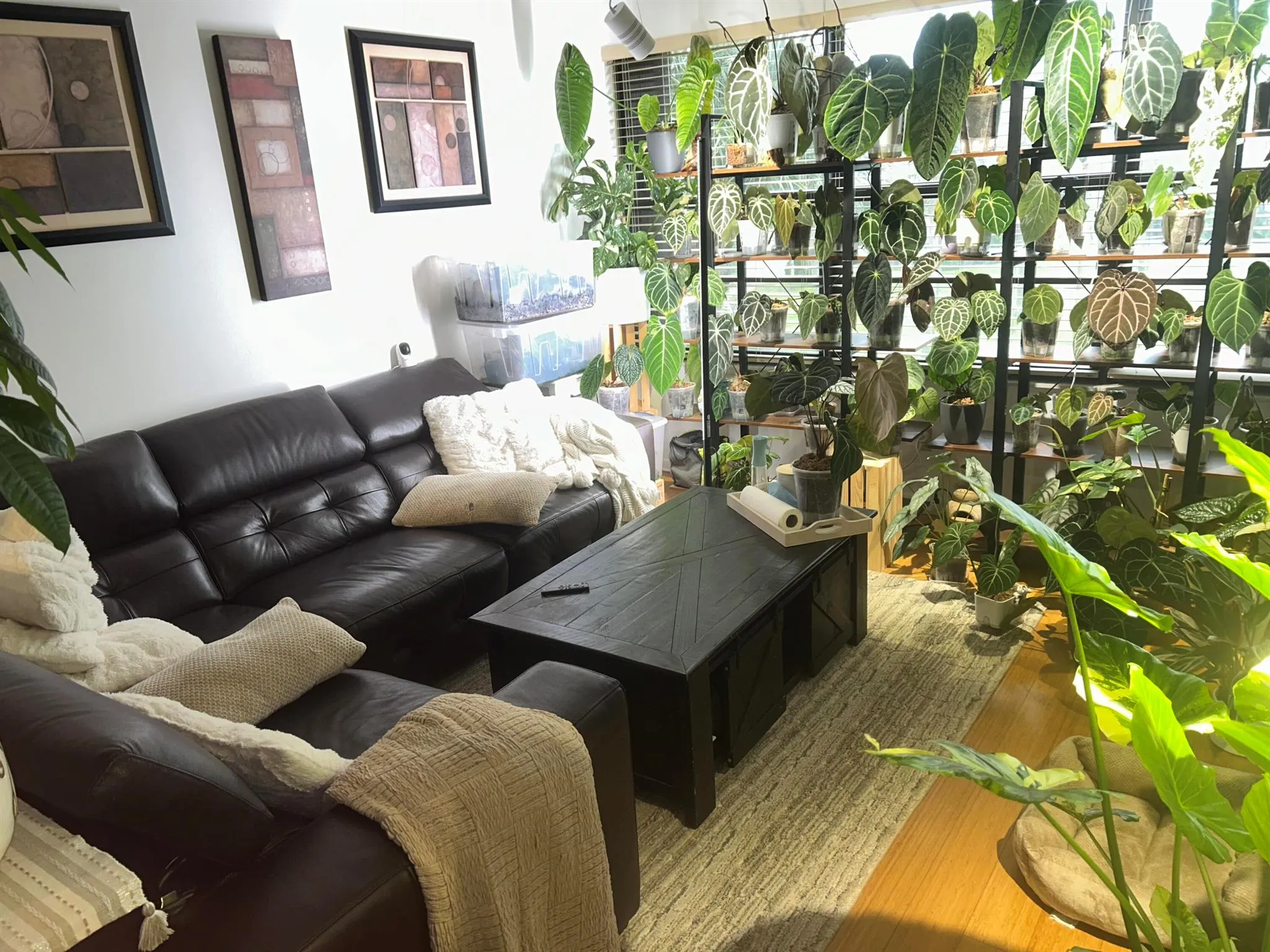 3511 Village Boulevard, #302