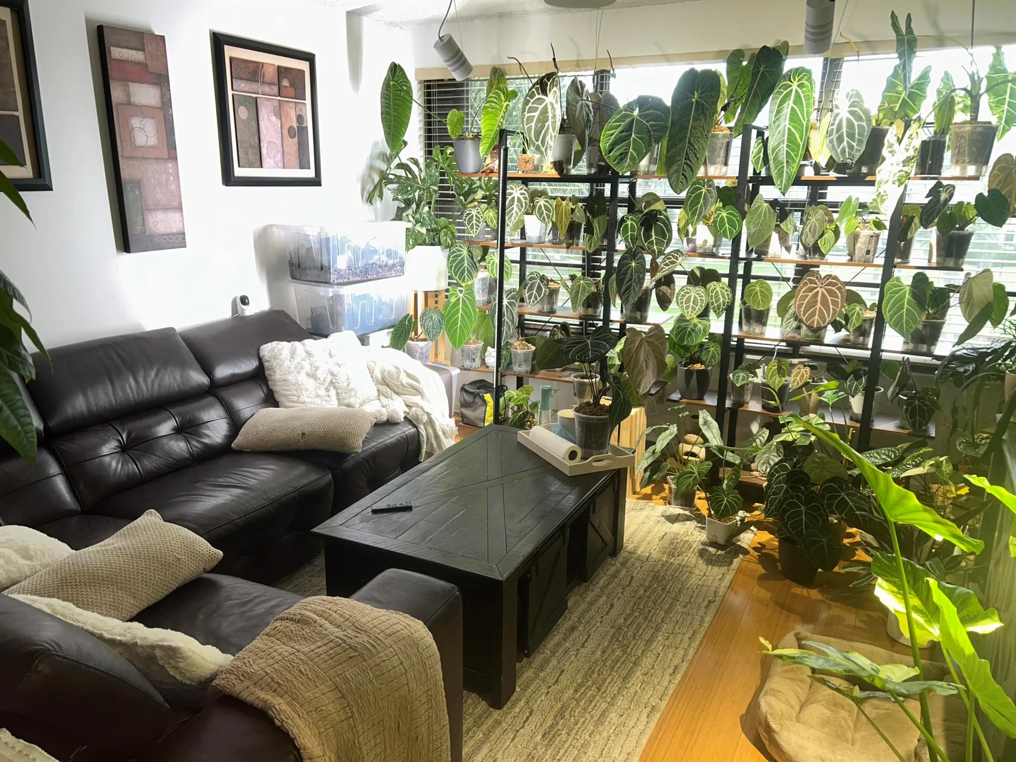 3511 Village Boulevard, #302