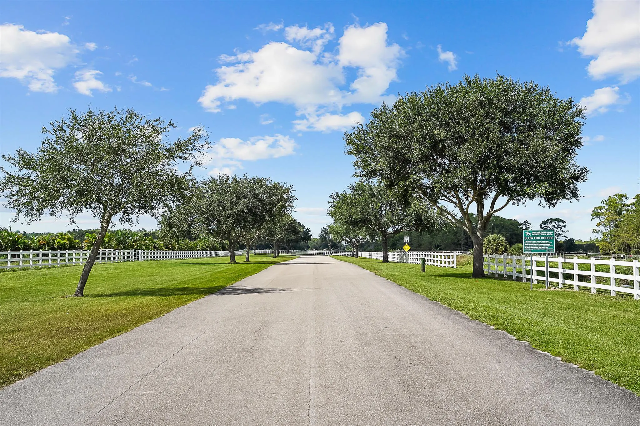 2986 SW Trailside Path