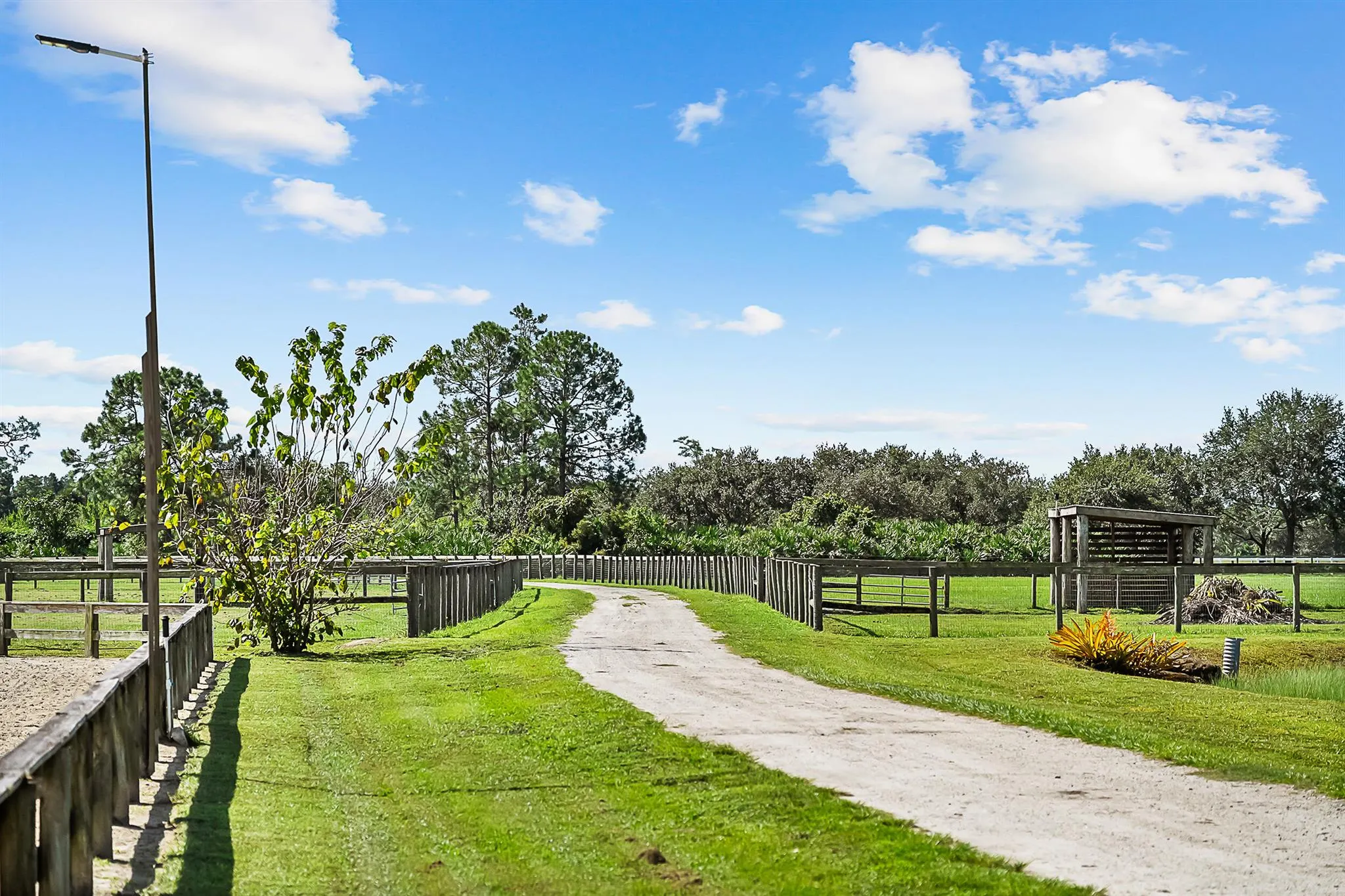2986 SW Trailside Path