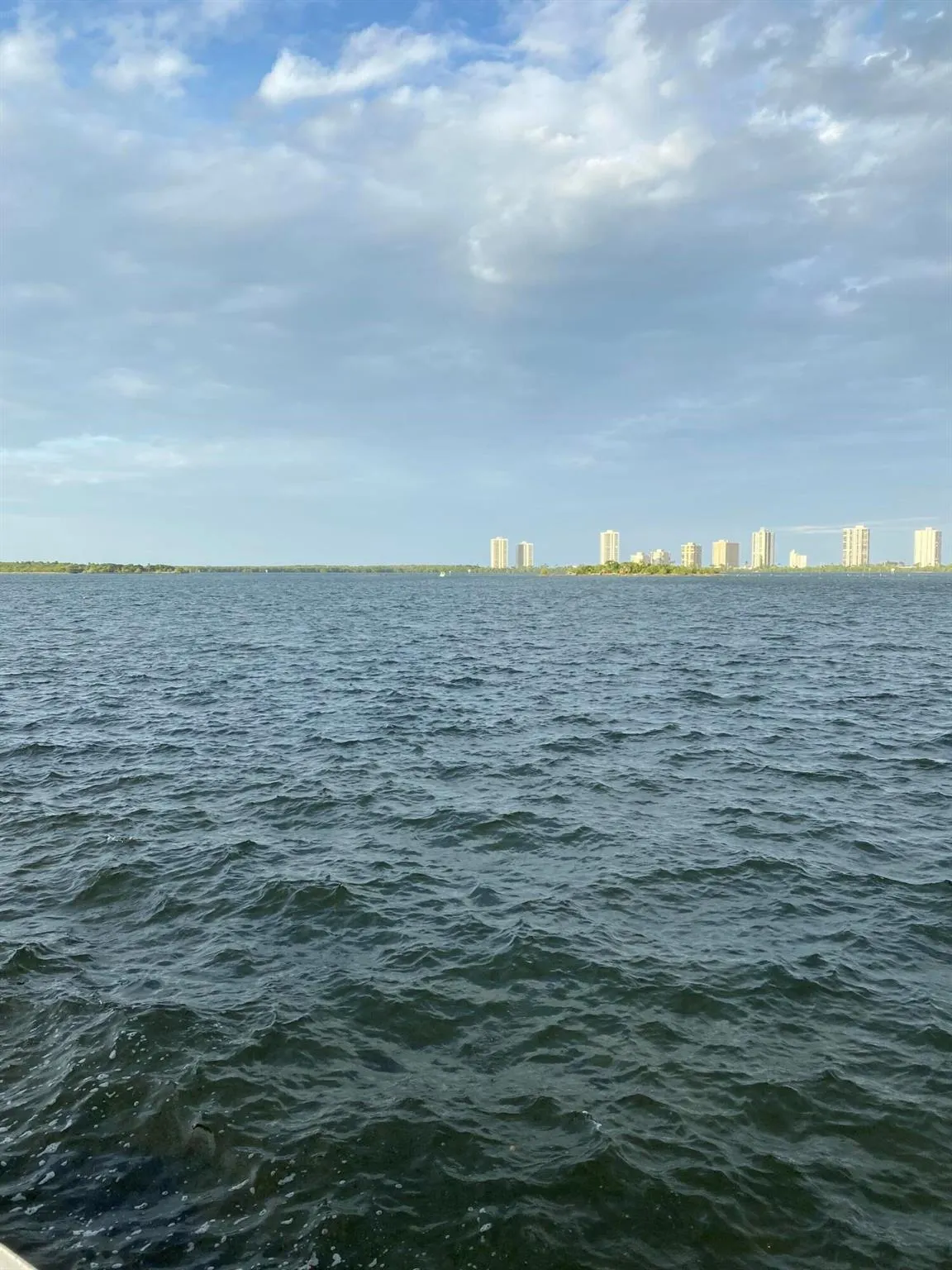 1130 Lake Shore Drive, #201