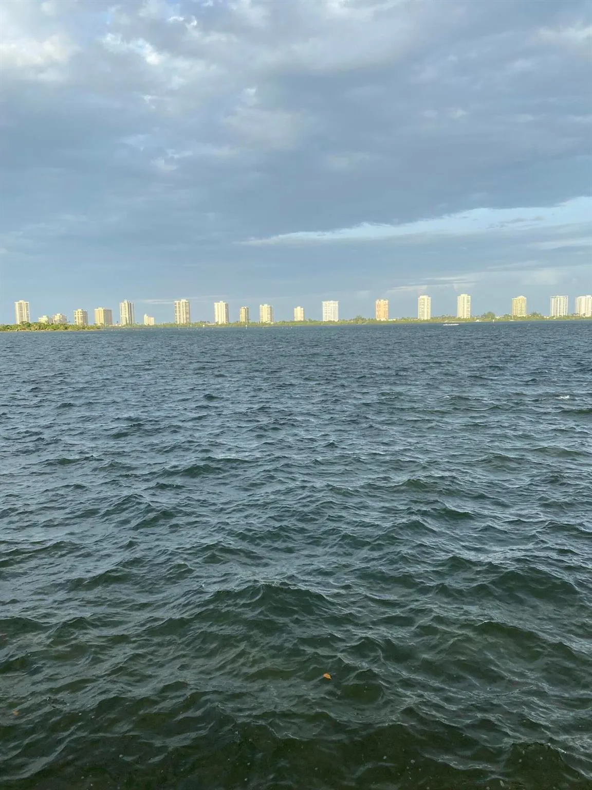 1130 Lake Shore Drive, #201