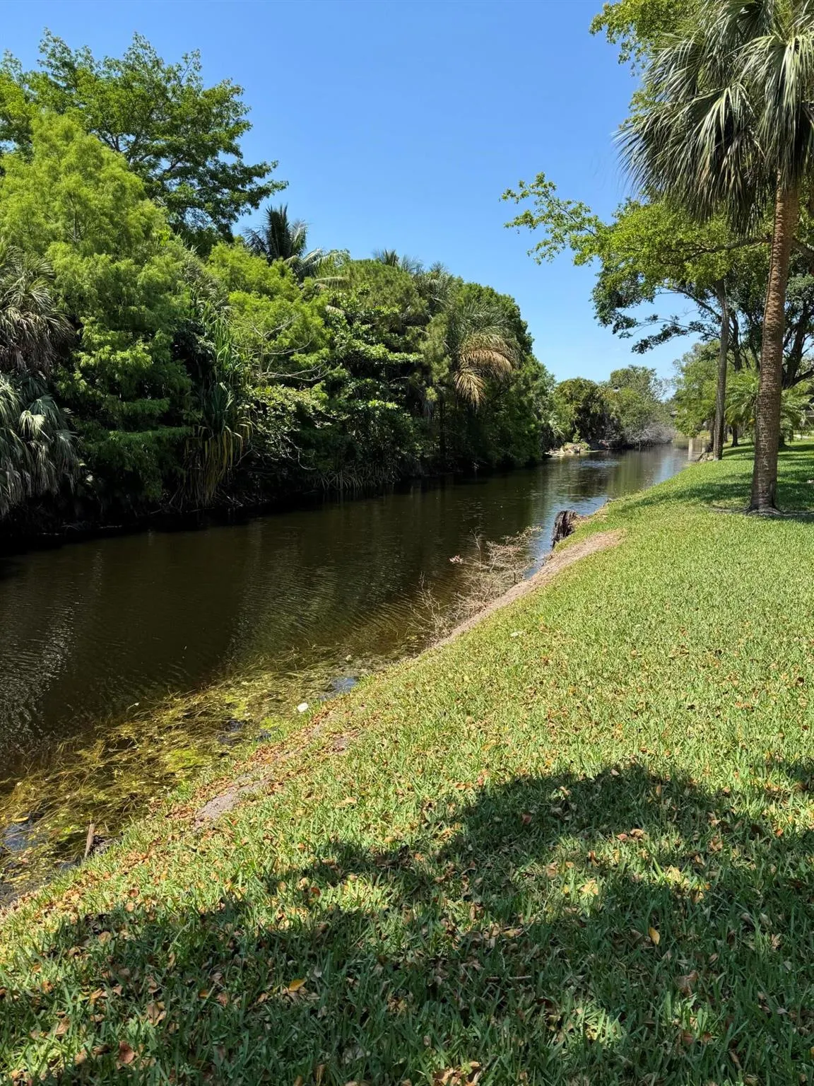147 Deer Creek Boulevard, #402