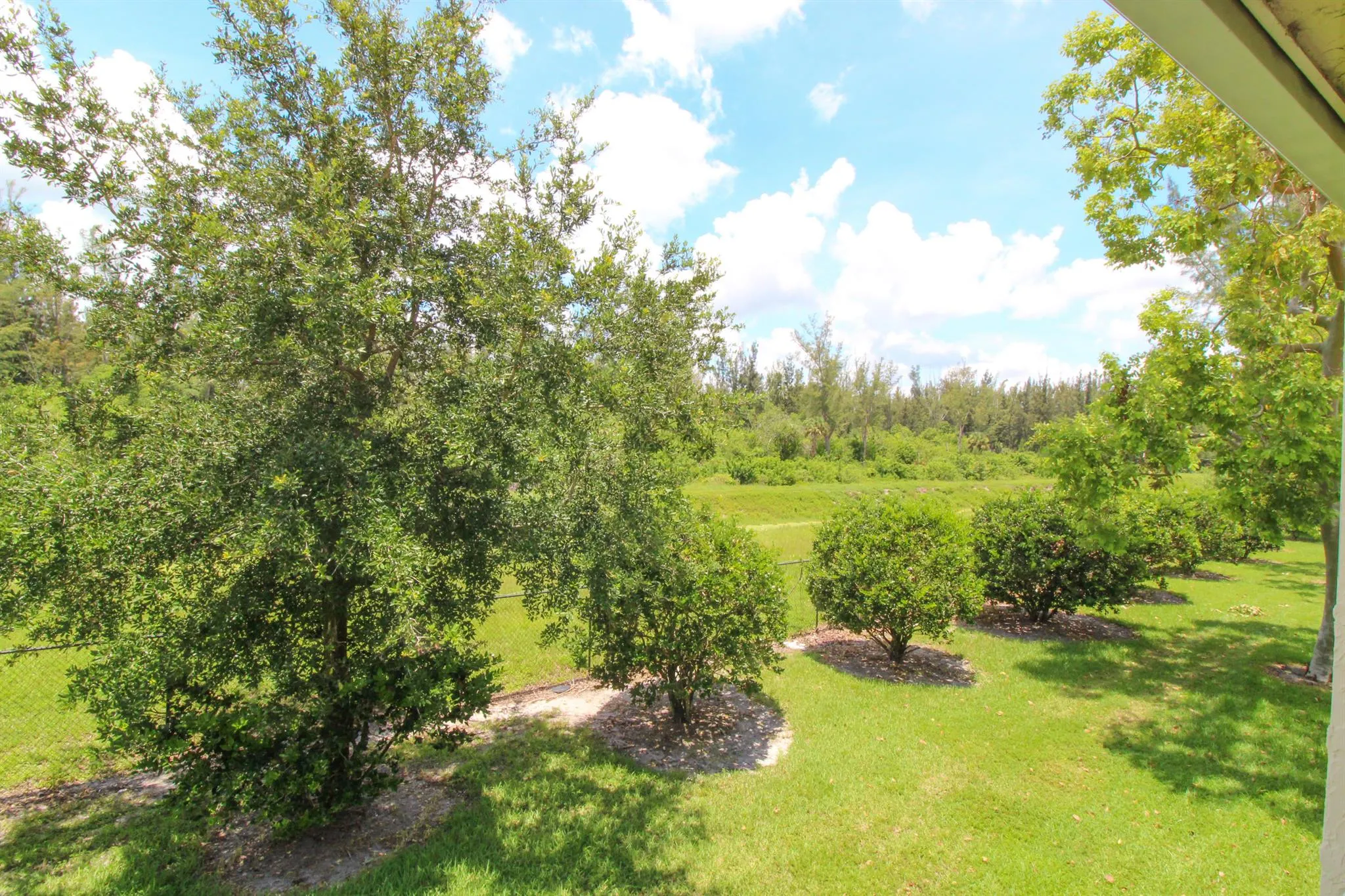 1441 Windorah Way, #F