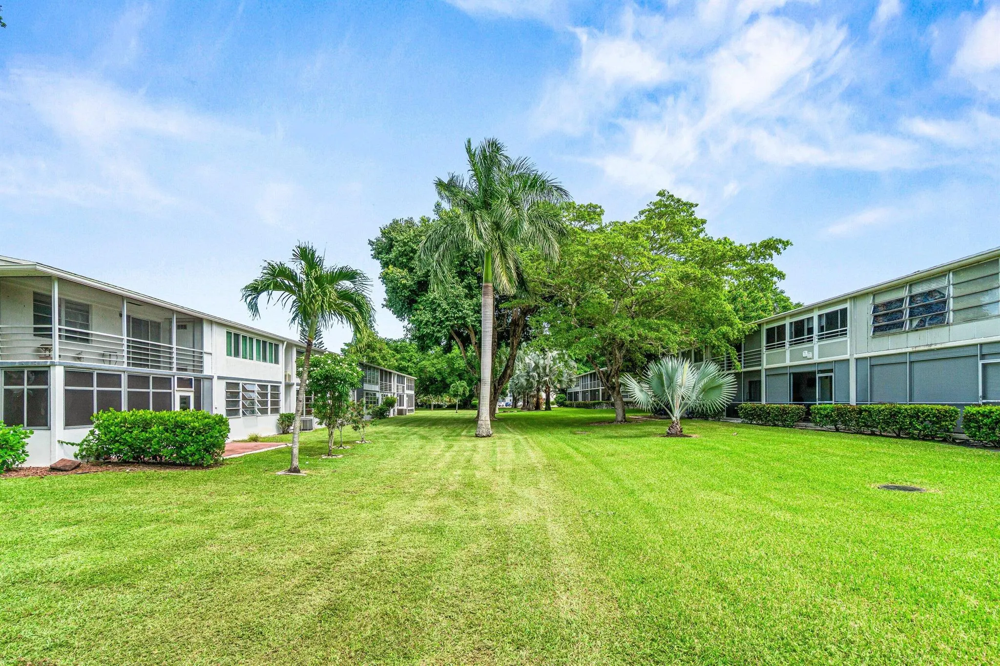 239 Ventnor Q