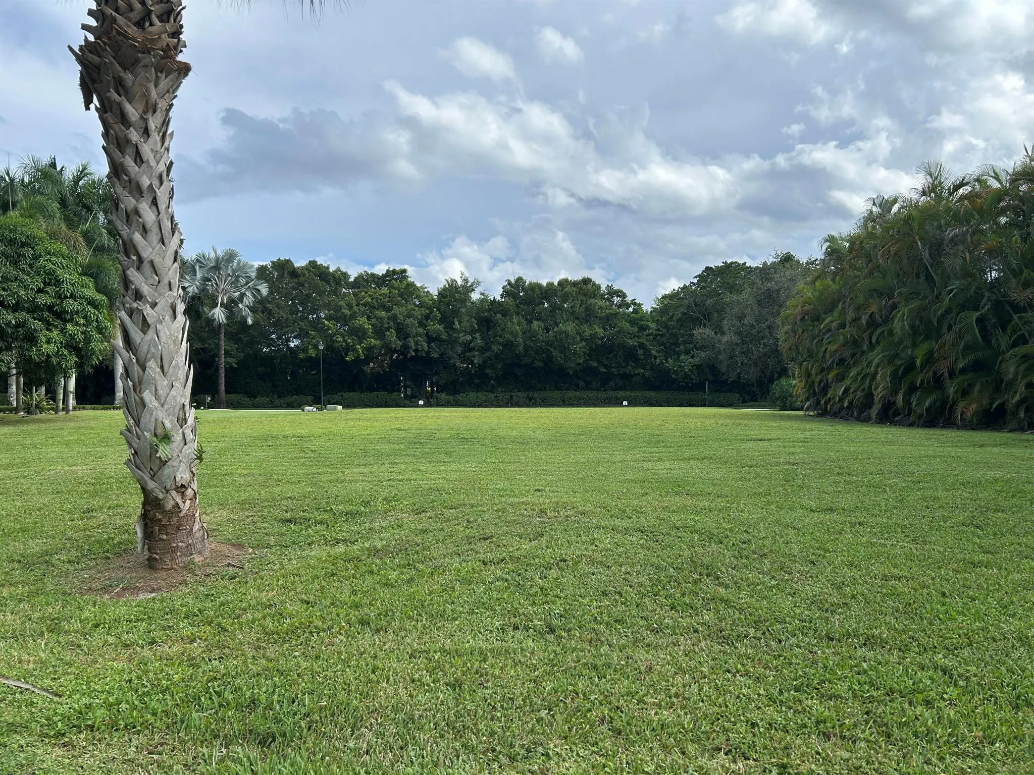 7795 Ironhorse Boulevard