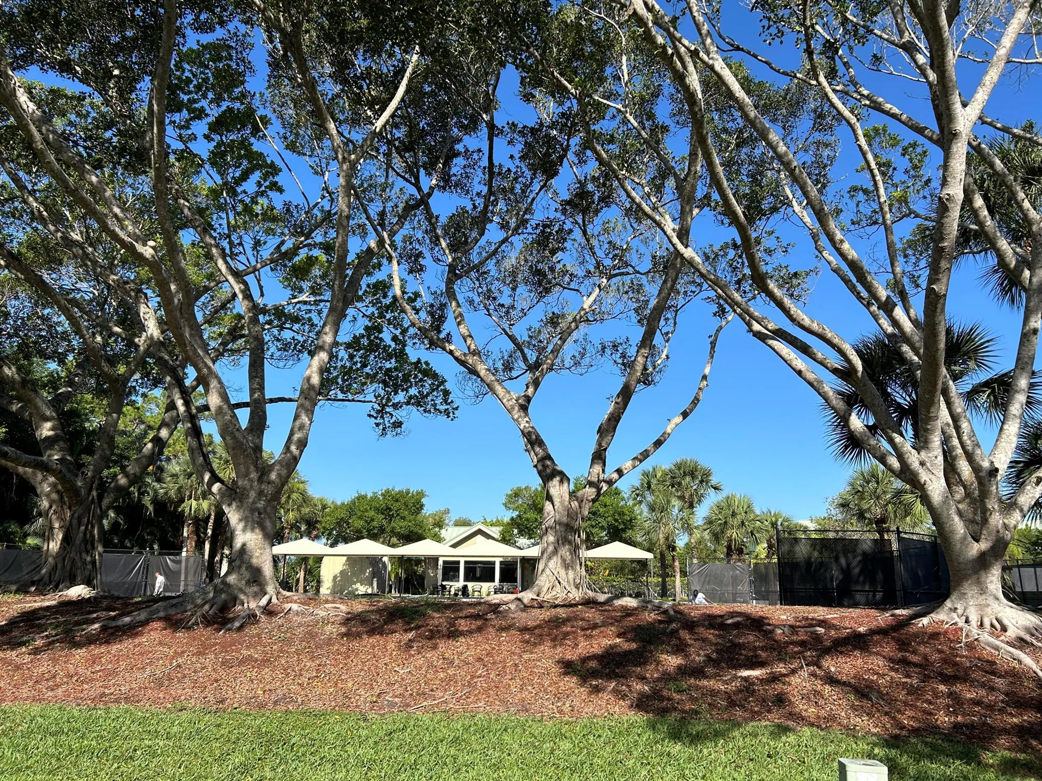 7795 Ironhorse Boulevard