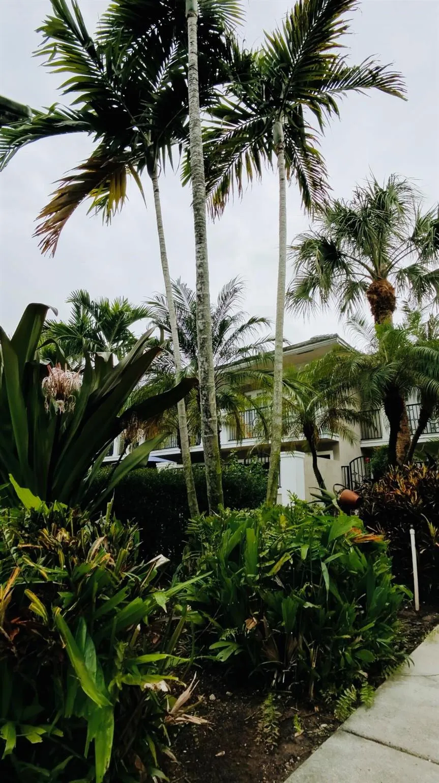 1000 Palm Trail, #4