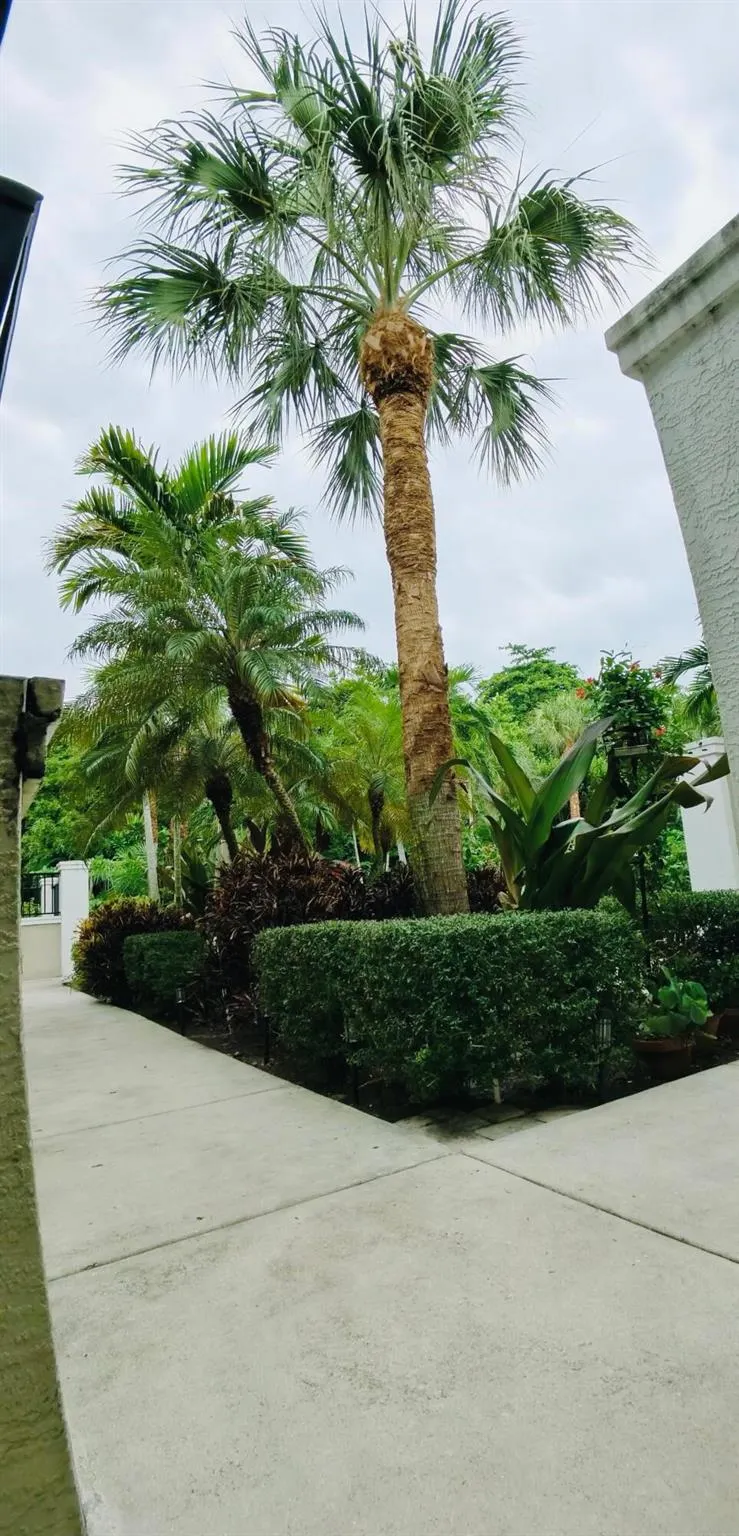 1000 Palm Trail, #4