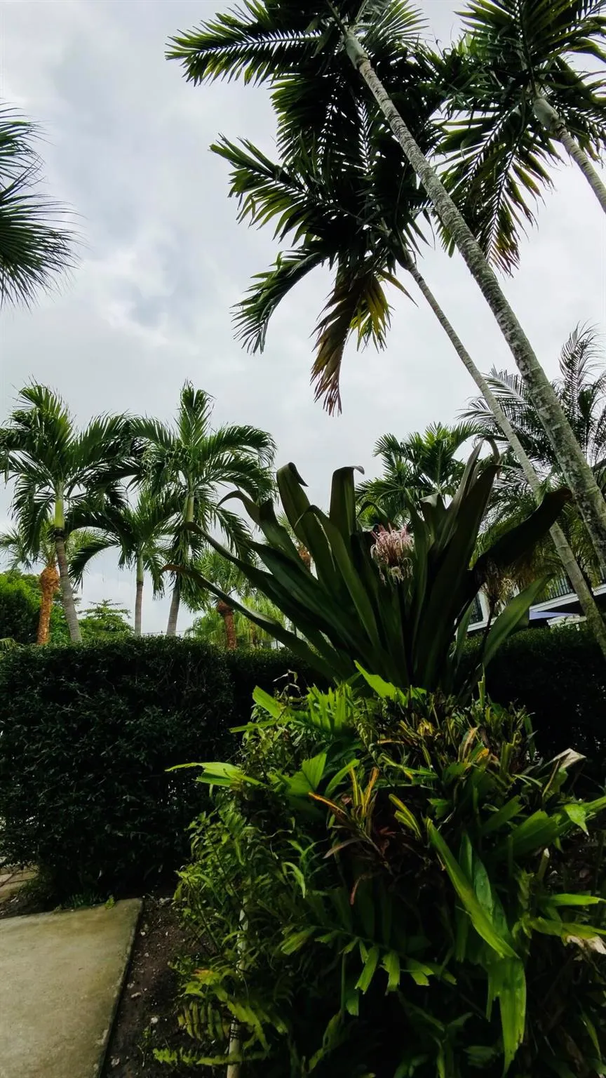 1000 Palm Trail, #4