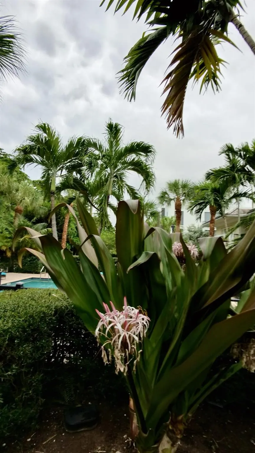 1000 Palm Trail, #4