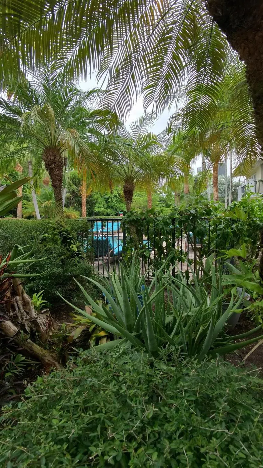 1000 Palm Trail, #4