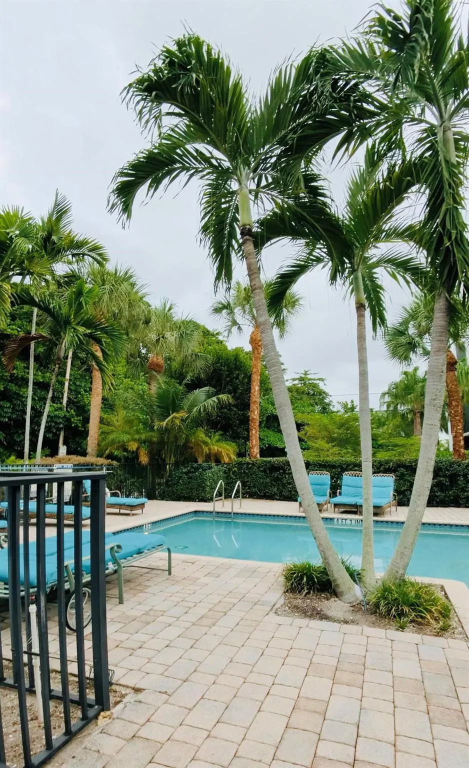 1000 Palm Trail, #4