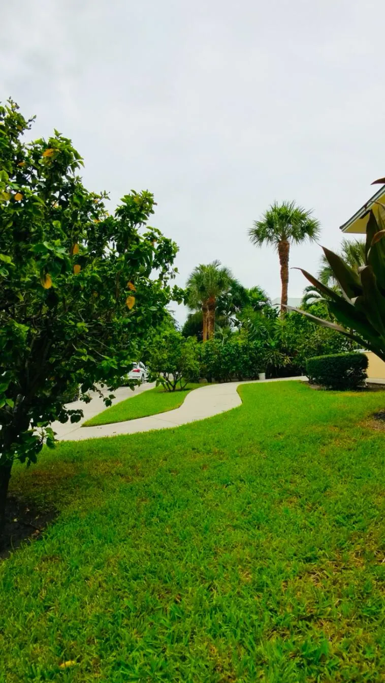 1000 Palm Trail, #4