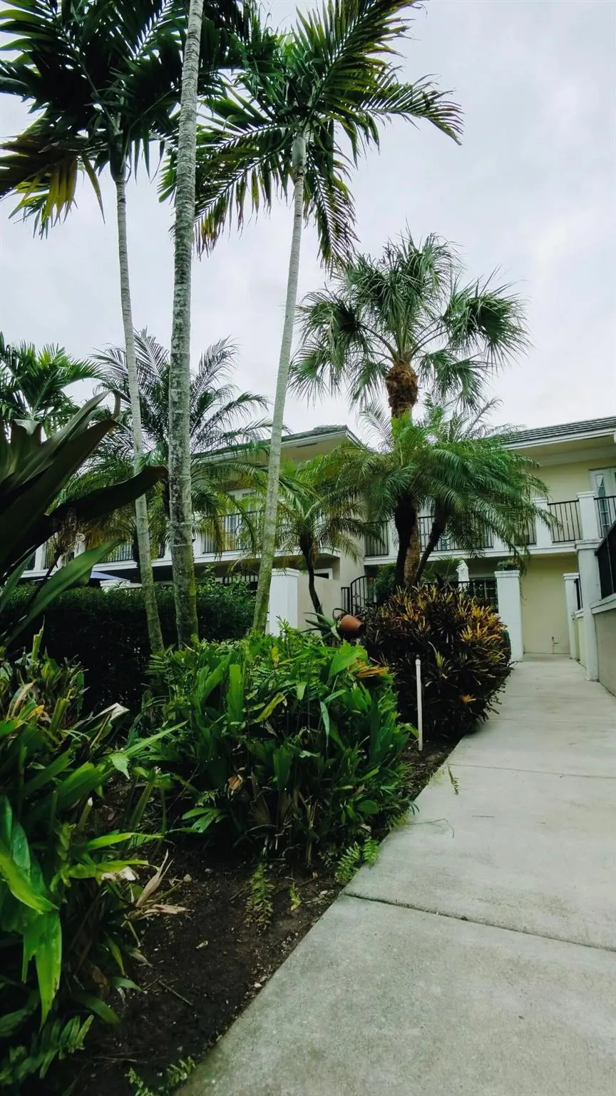 1000 Palm Trail, #4