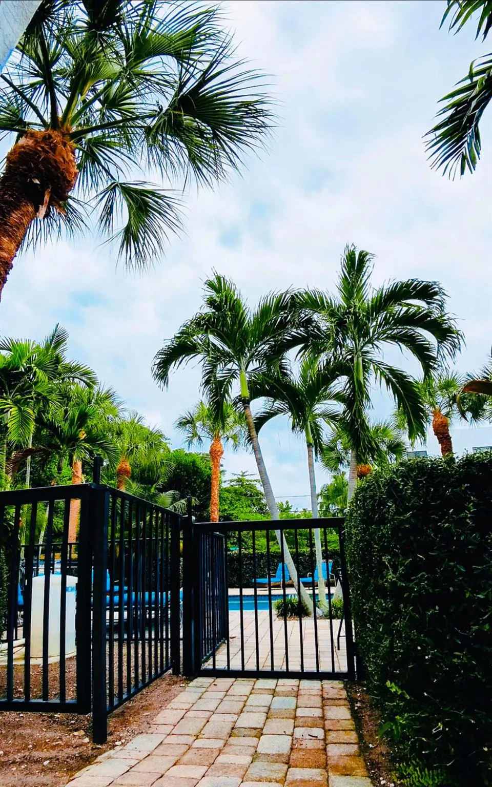 1000 Palm Trail, #4