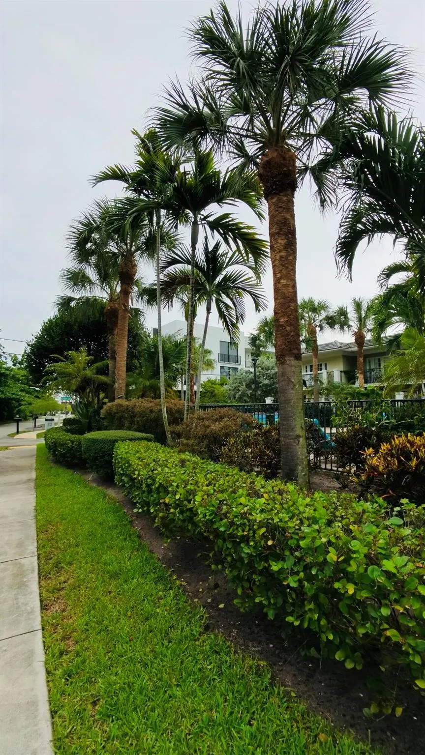 1000 Palm Trail, #4