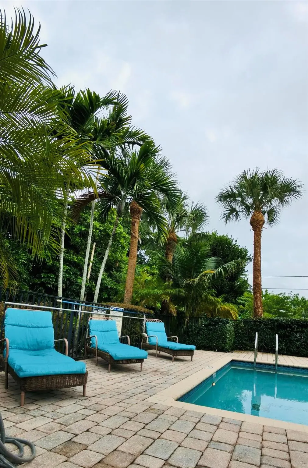 1000 Palm Trail, #4