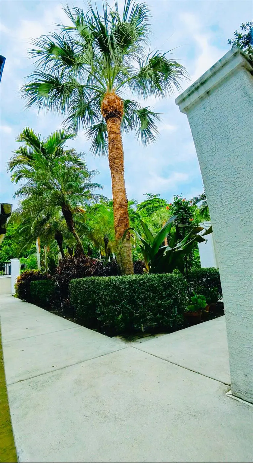 1000 Palm Trail, #4