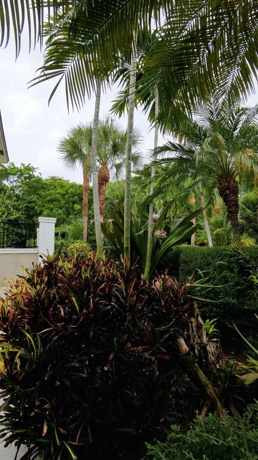 1000 Palm Trail, #4