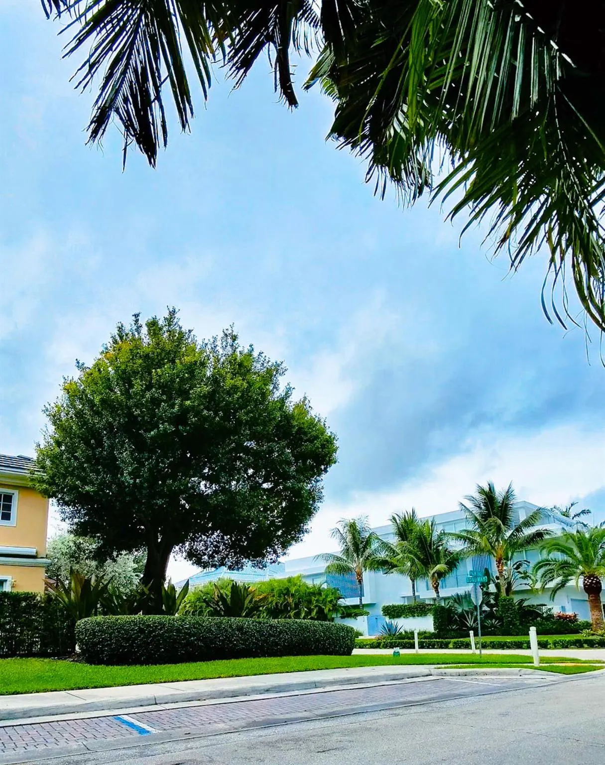 1000 Palm Trail, #4