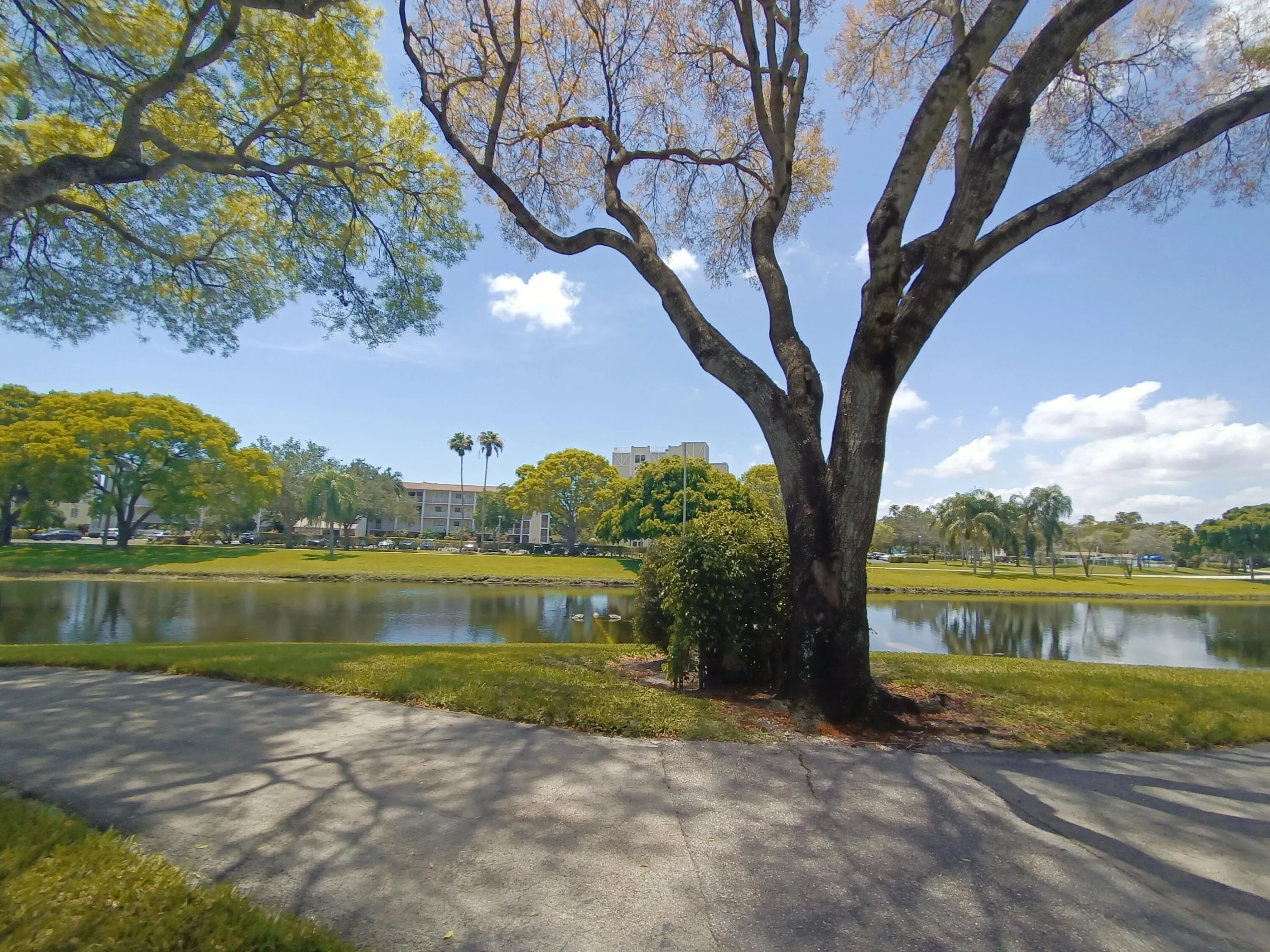7320 Amberly Lane, #305
