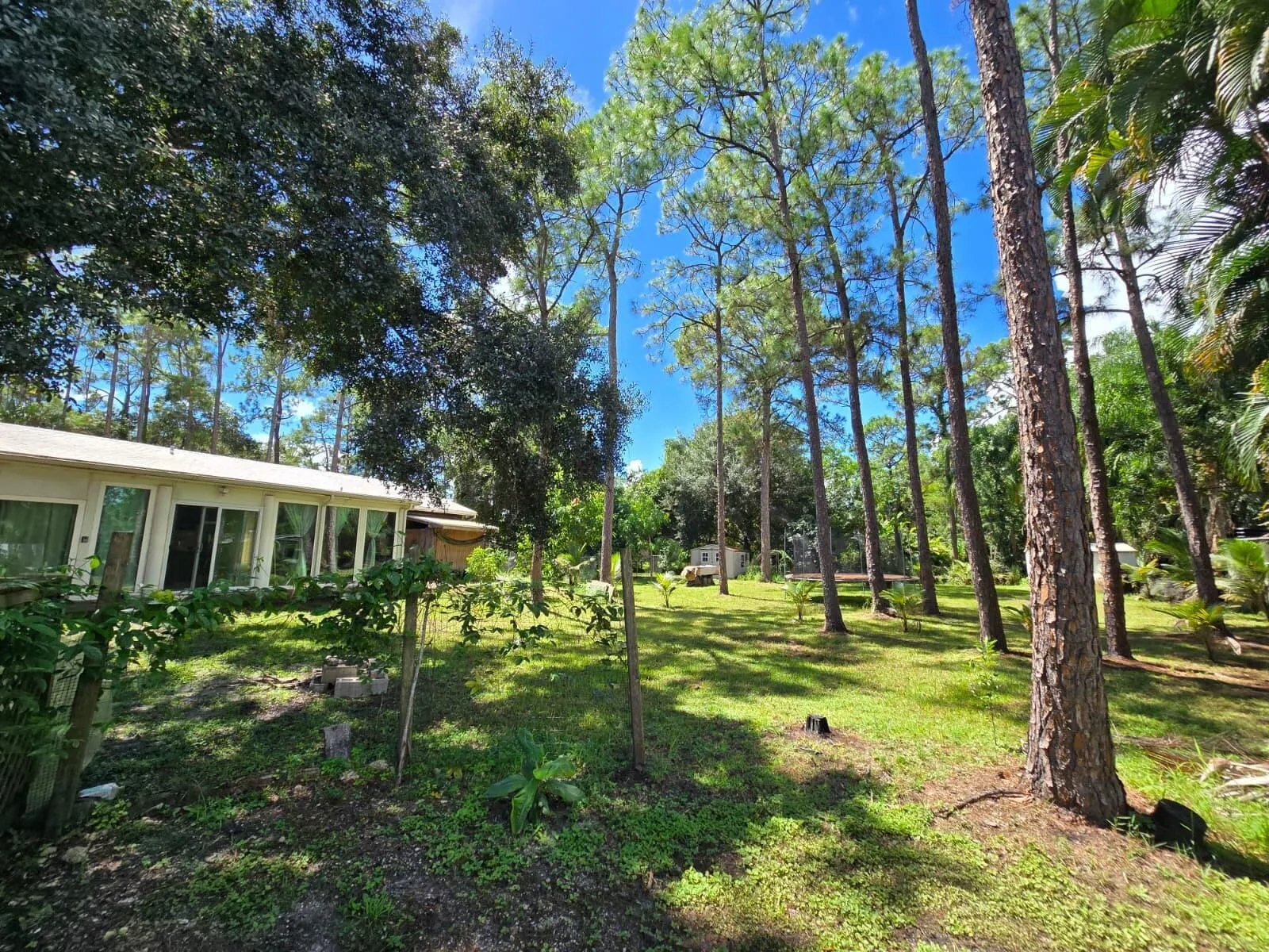 13835 41st Lane N