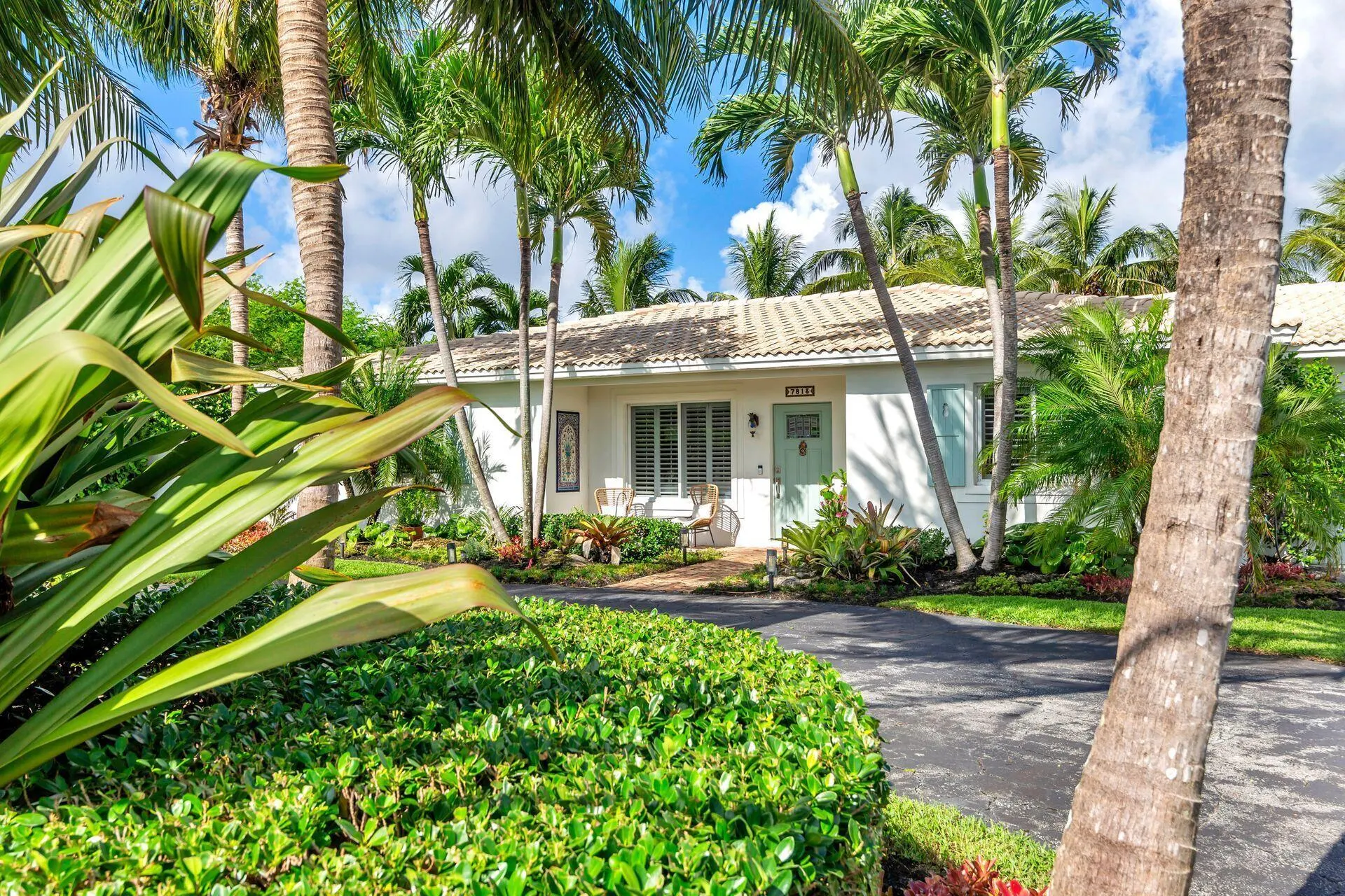 7813 Pine Tree Lane