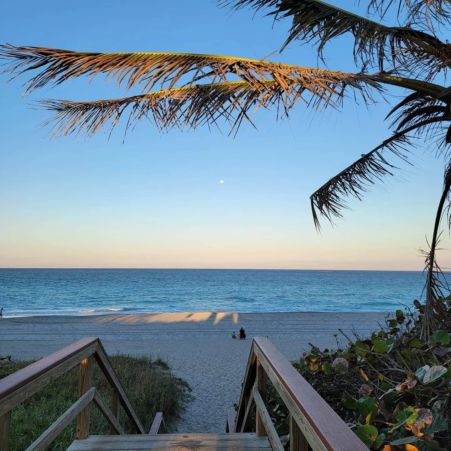 825 Center Street, #14a