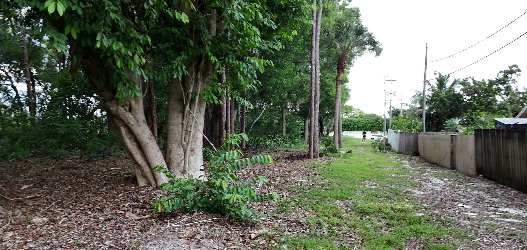 0000 Lantana Road