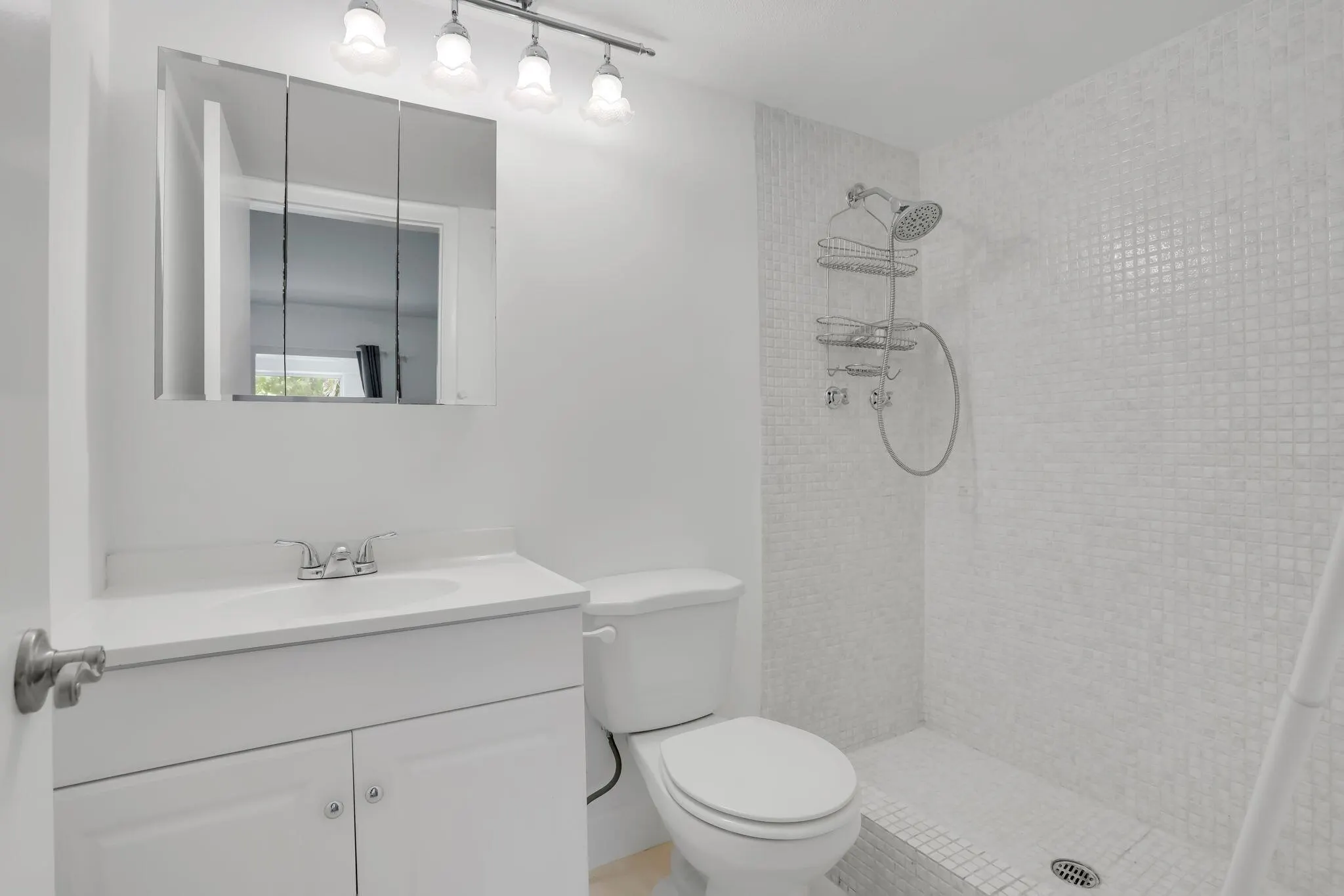 3401 Spanish Trail, #154