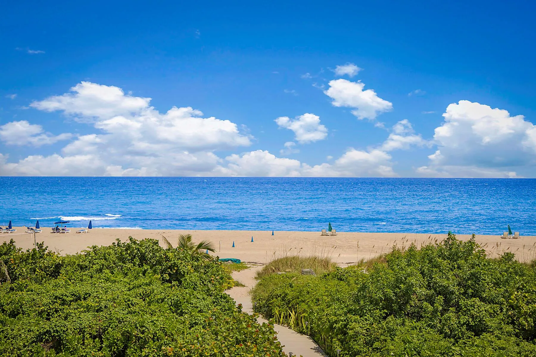 3730 N Ocean Drive, #15c