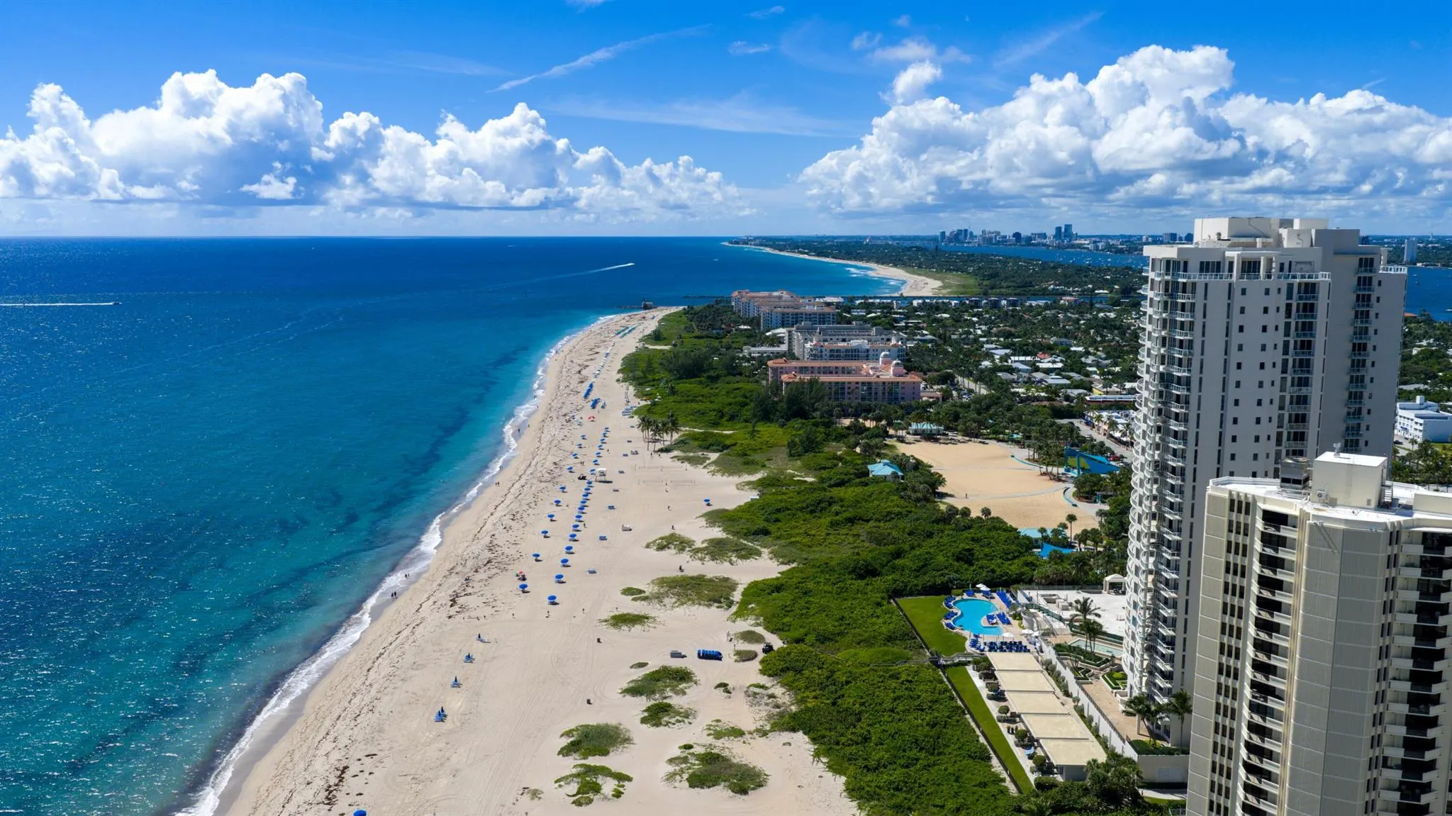 3100 N Ocean Drive, #1102 P