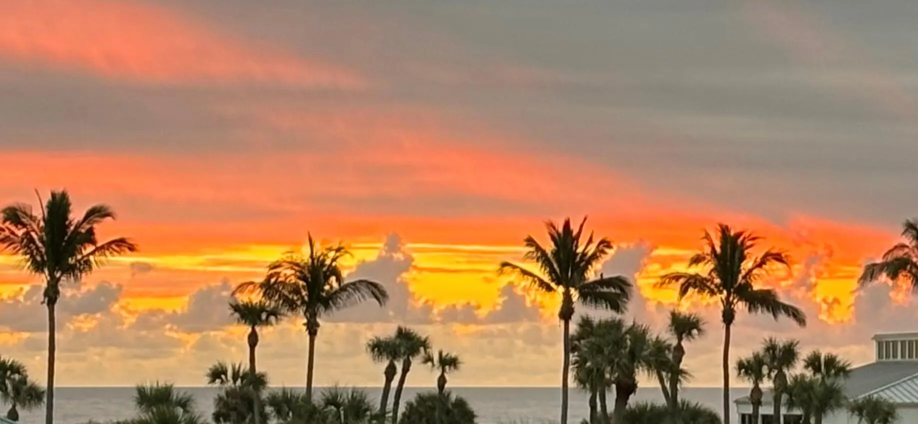 2400 S Ocean Drive, #7136
