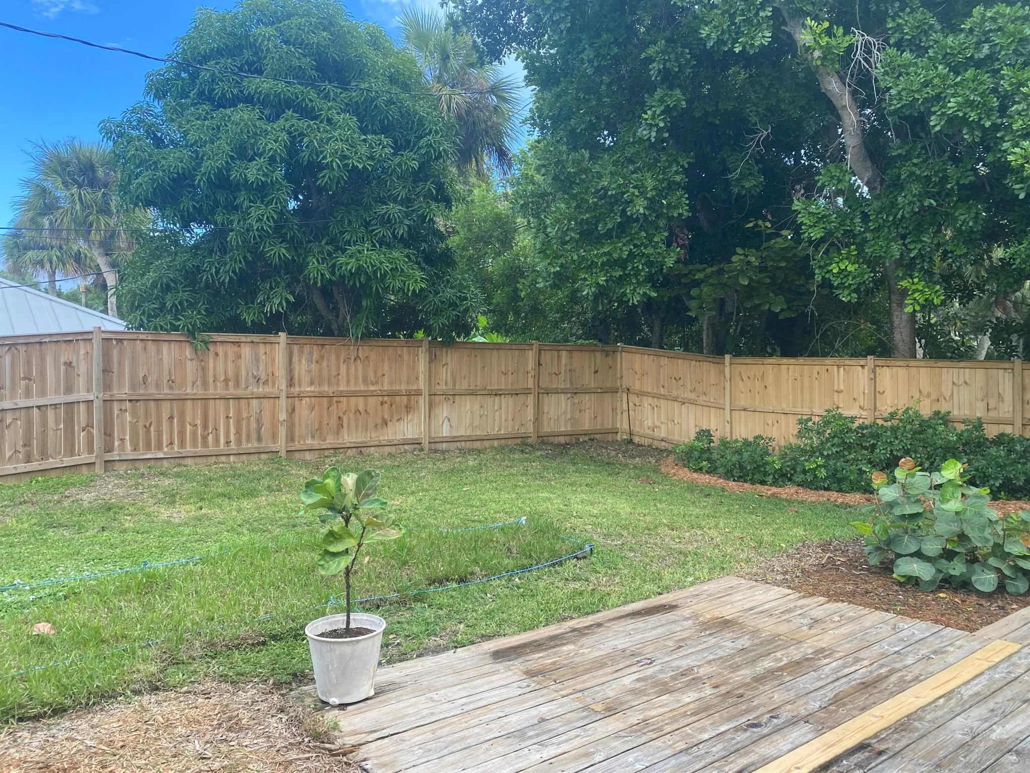 1435 Wyn Cove Drive