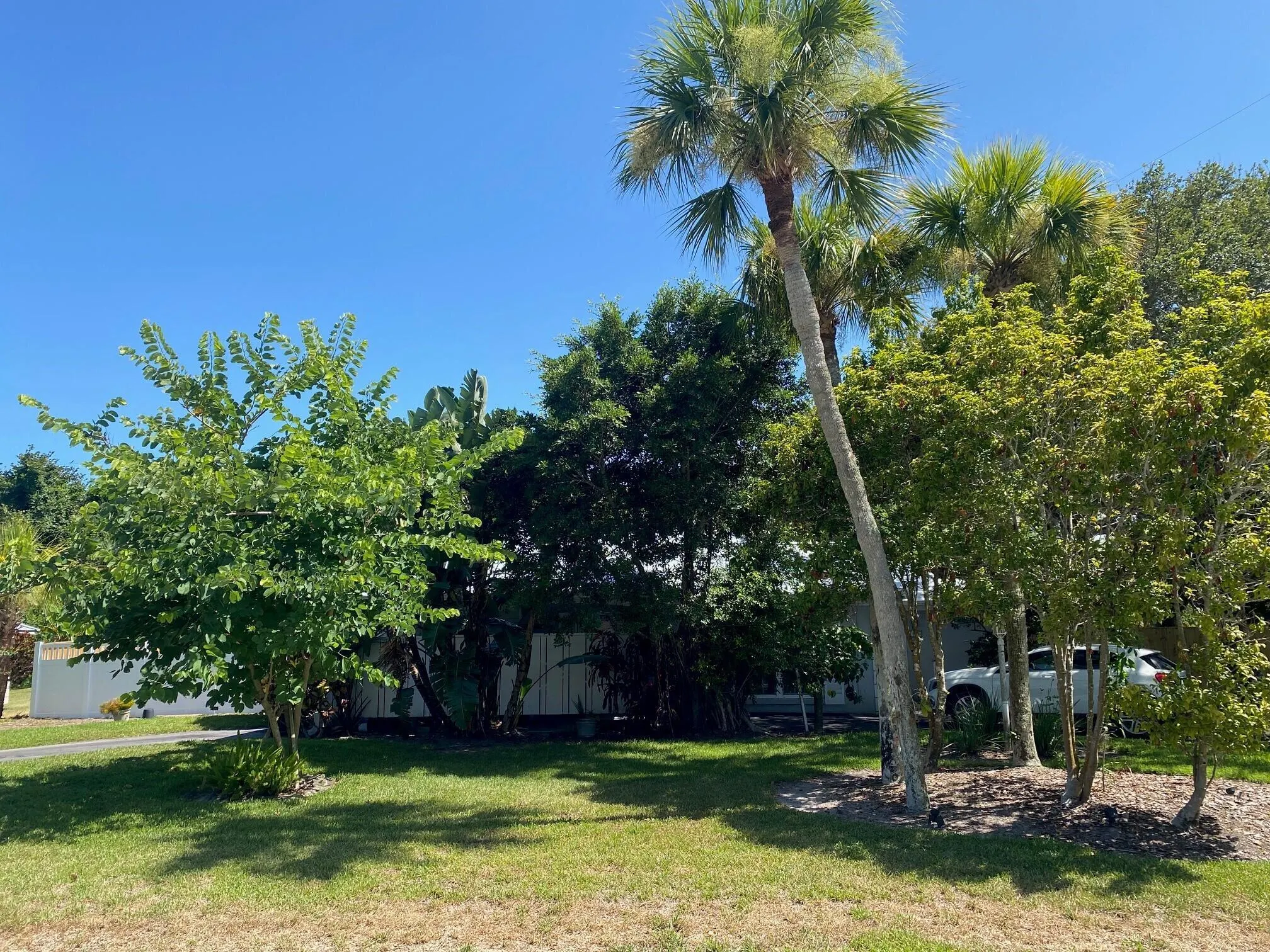 1435 Wyn Cove Drive