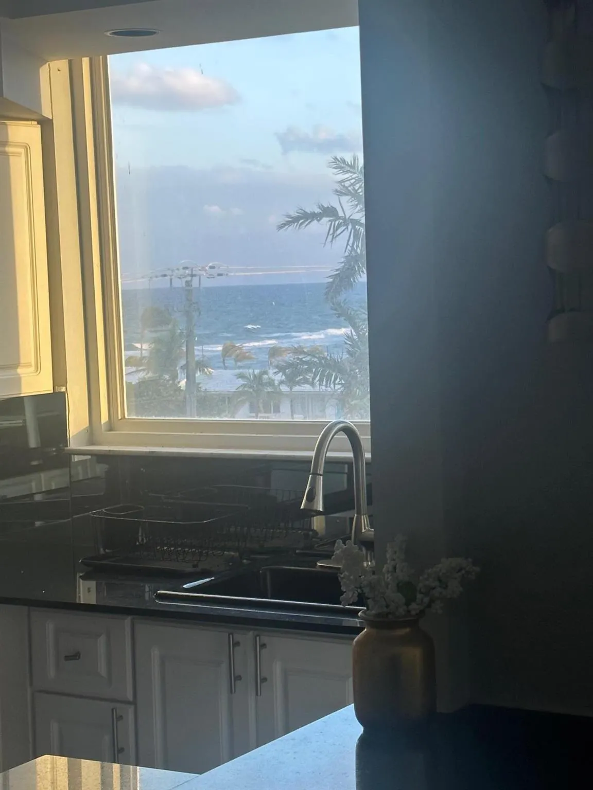 1238 Hillsboro Mile, #509