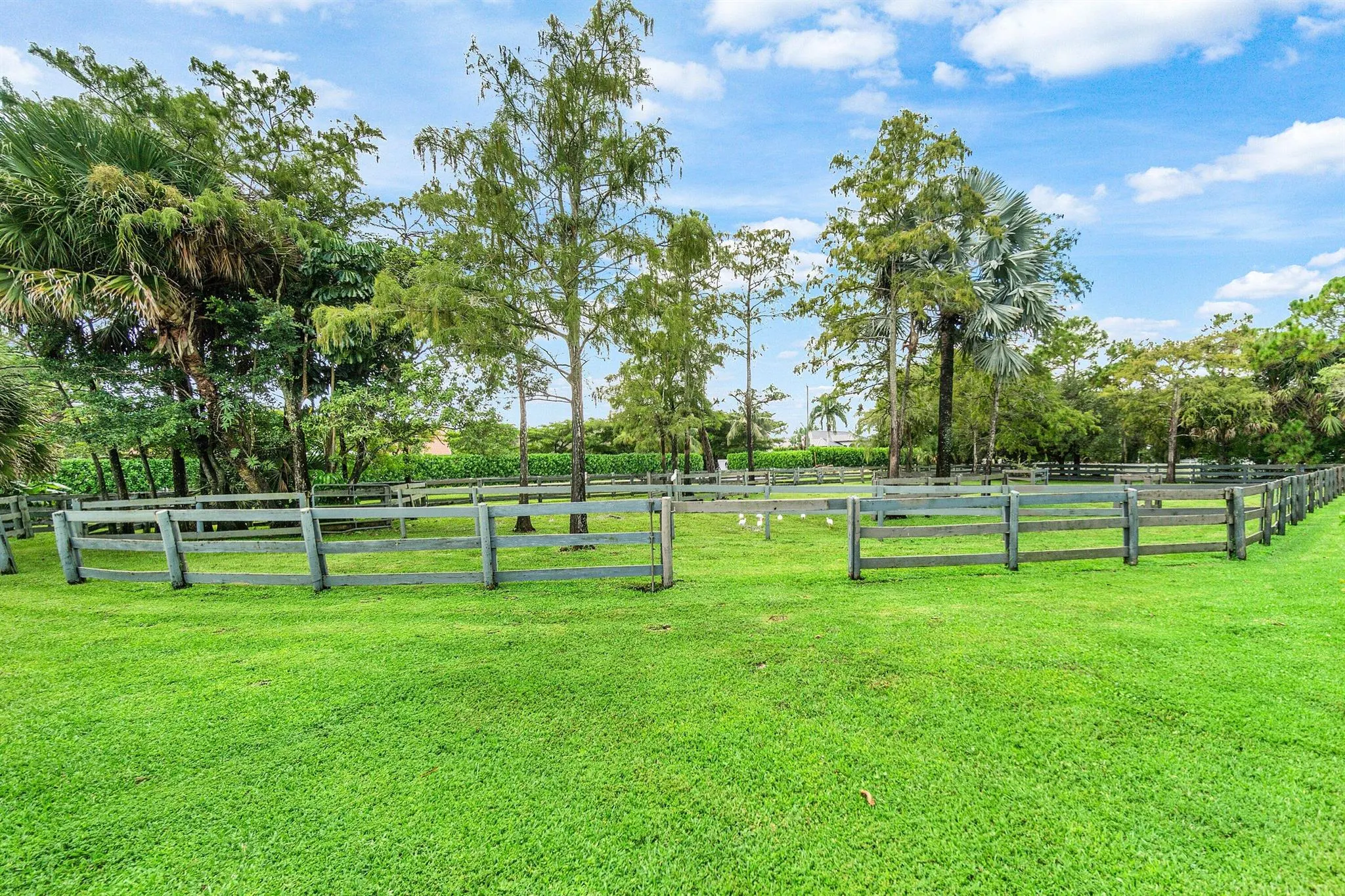 14539 Belmont Trace, #(2 Stalls And Studio)