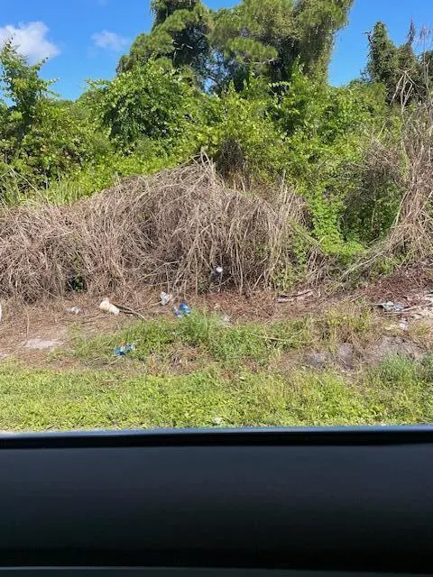 Xxx Matanzas Ave Avenue