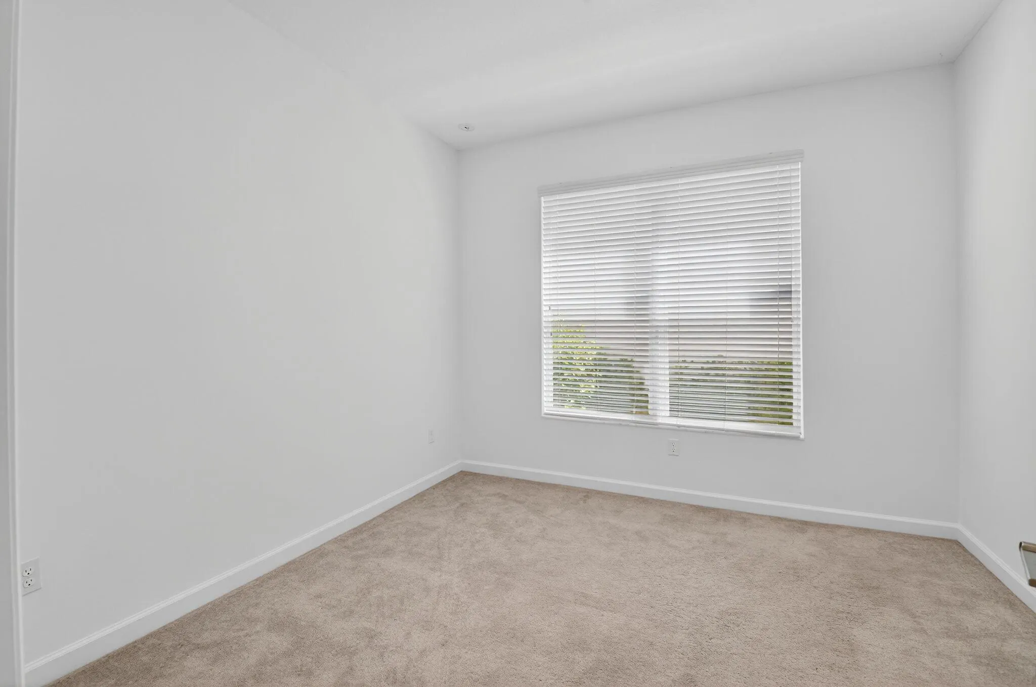 4320 Buttonwood Drive
