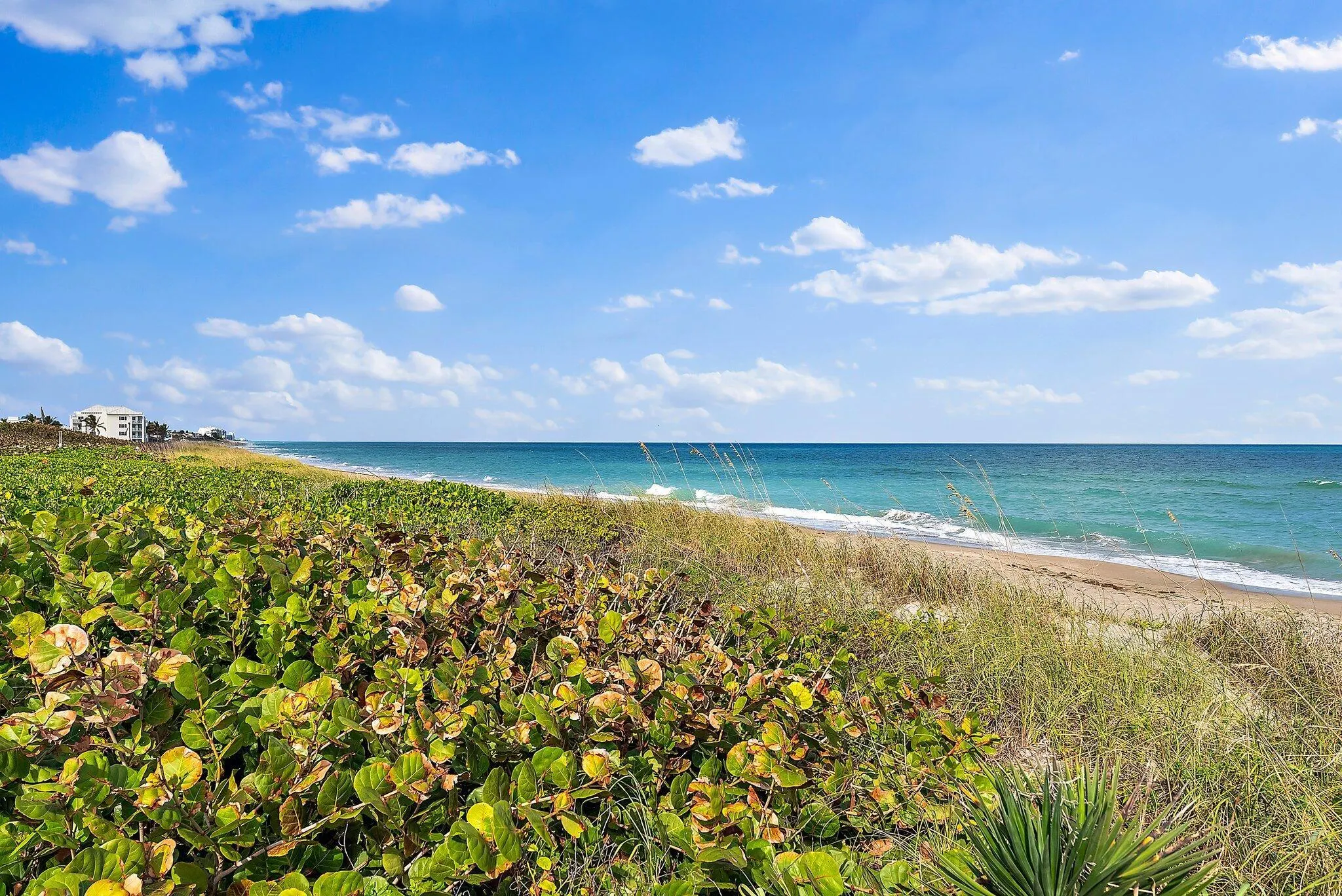 3541 NE Ocean Boulevard, #7