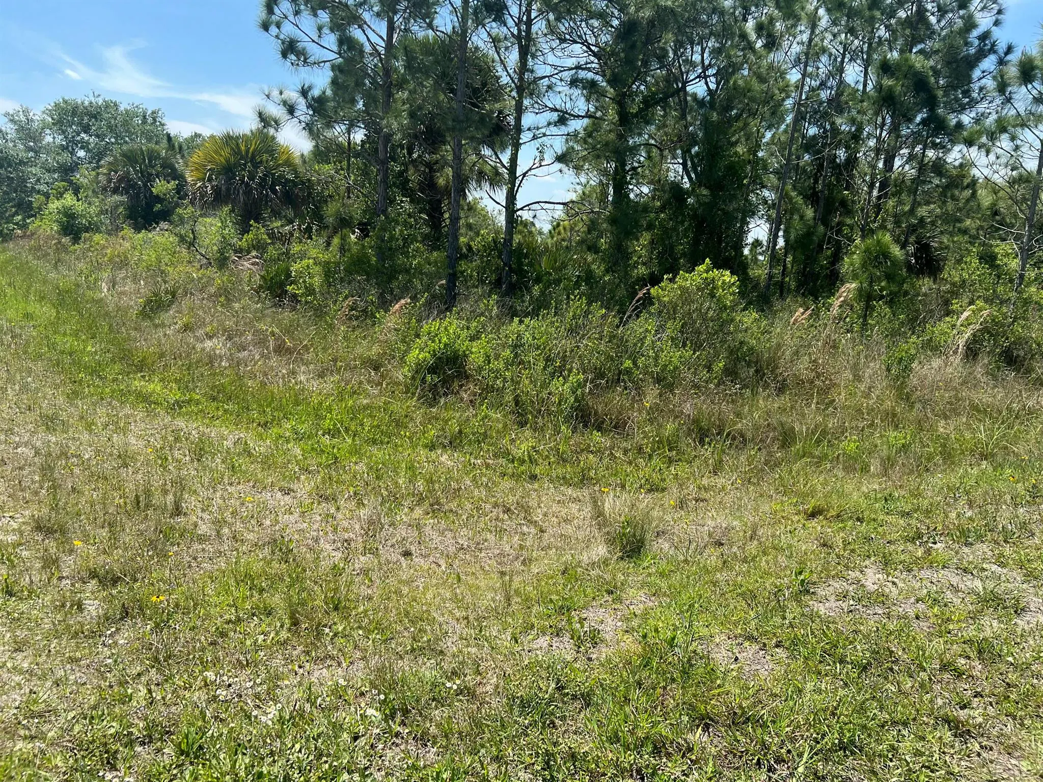 17616 NW 300th Street
