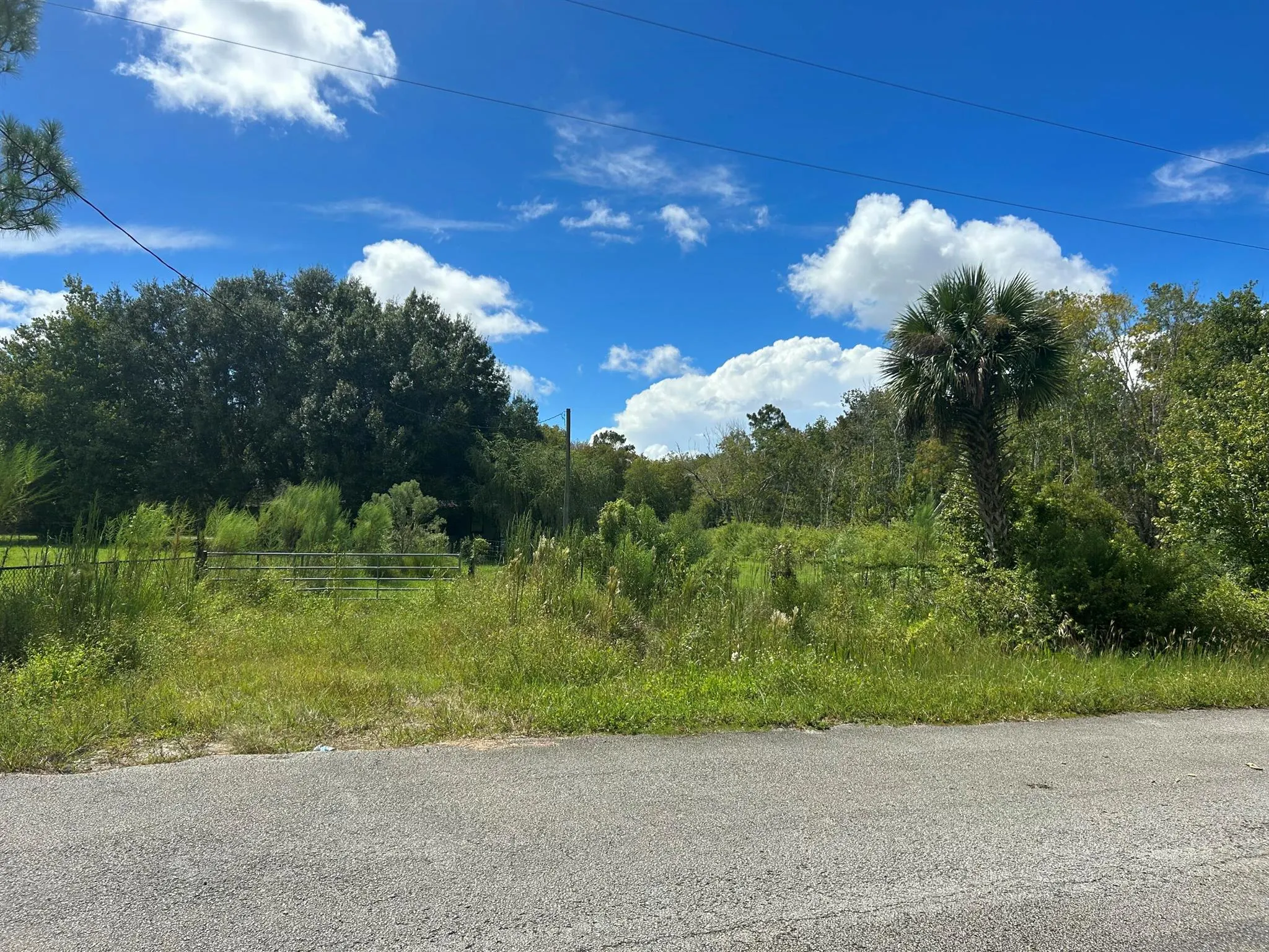 1515 NE 342nd Trail, #Lot 18