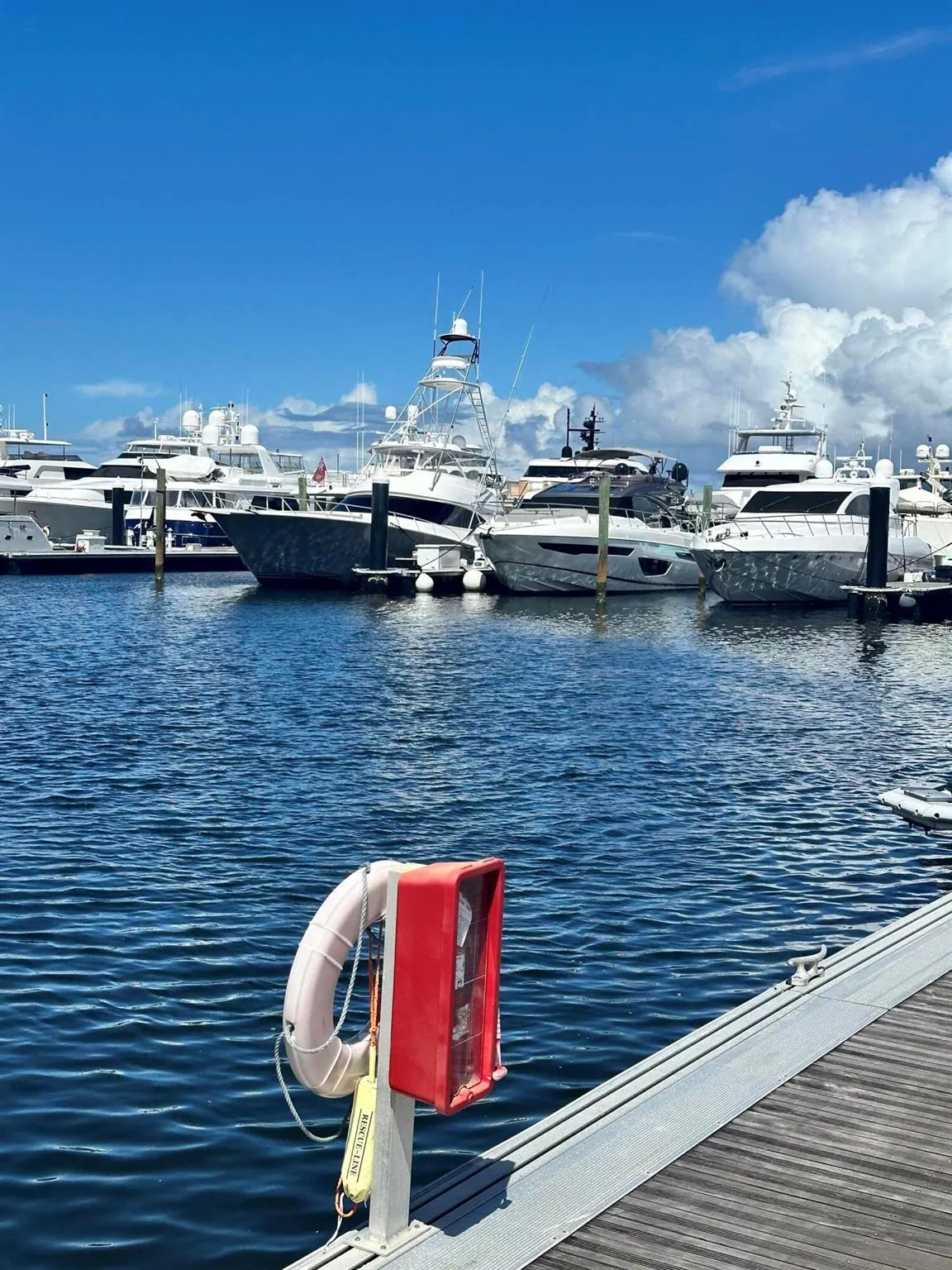 132 Lakeshore Drive, #1118