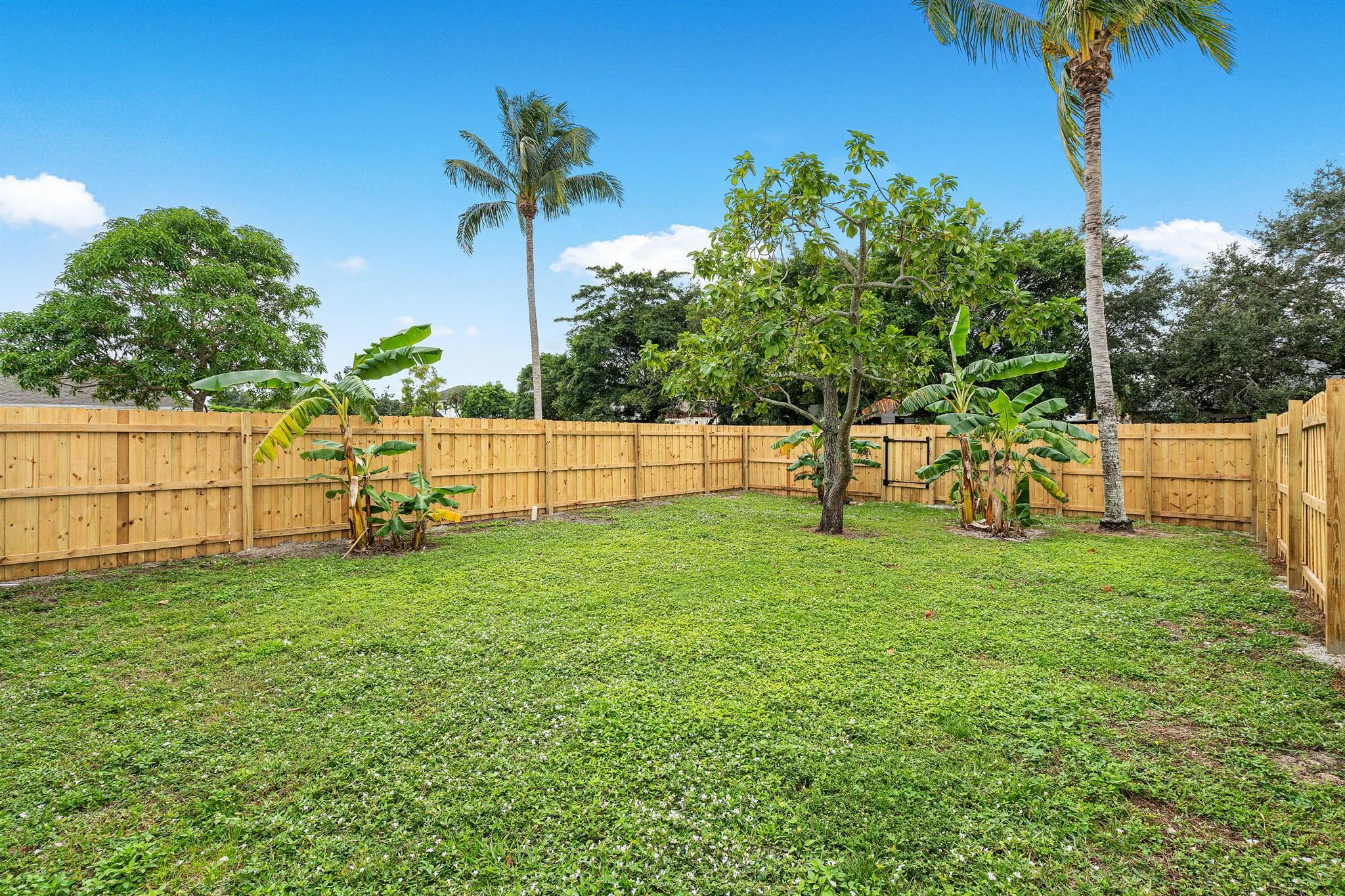 1307 White Pine Drive