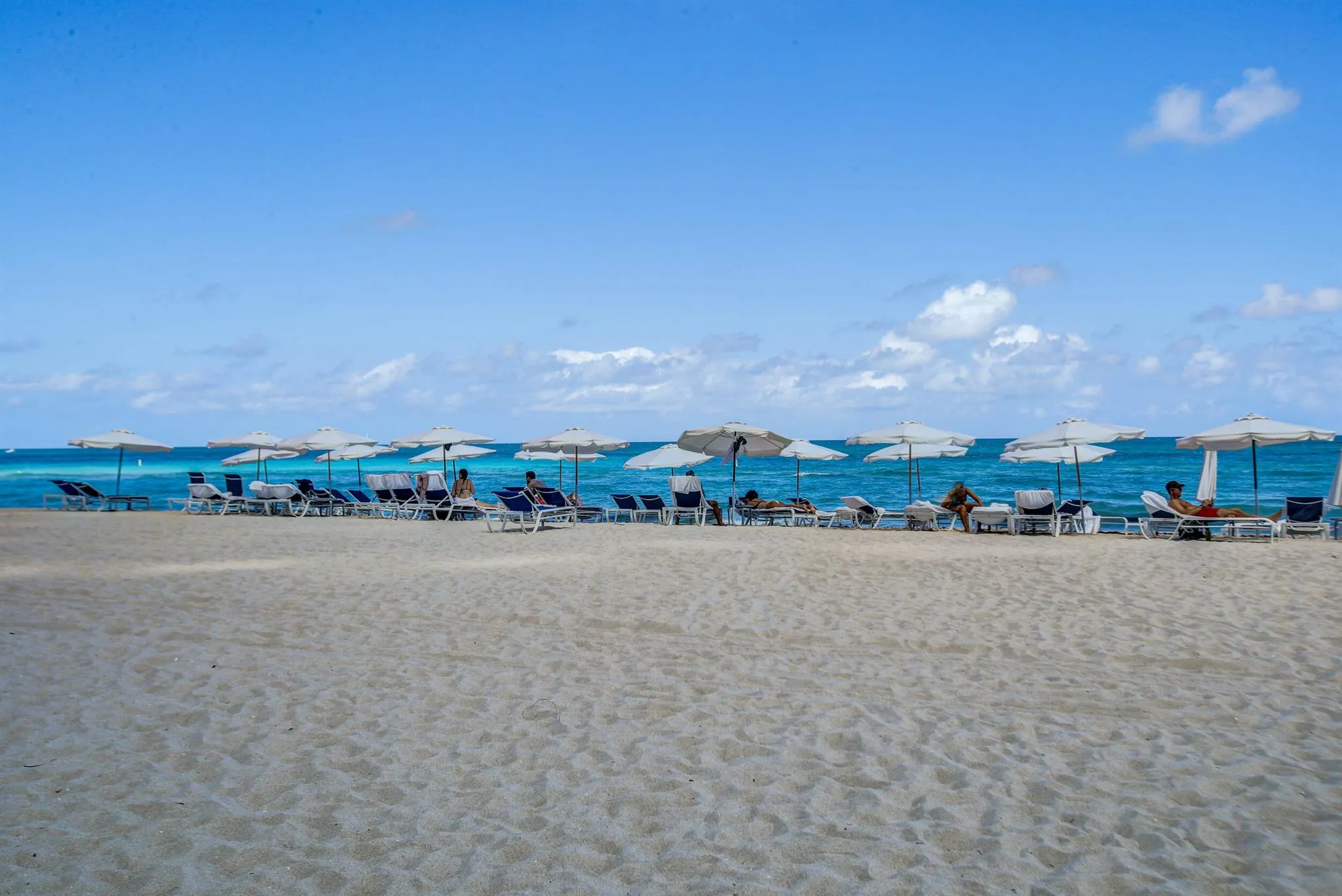 15901 Collins Avenue, #505